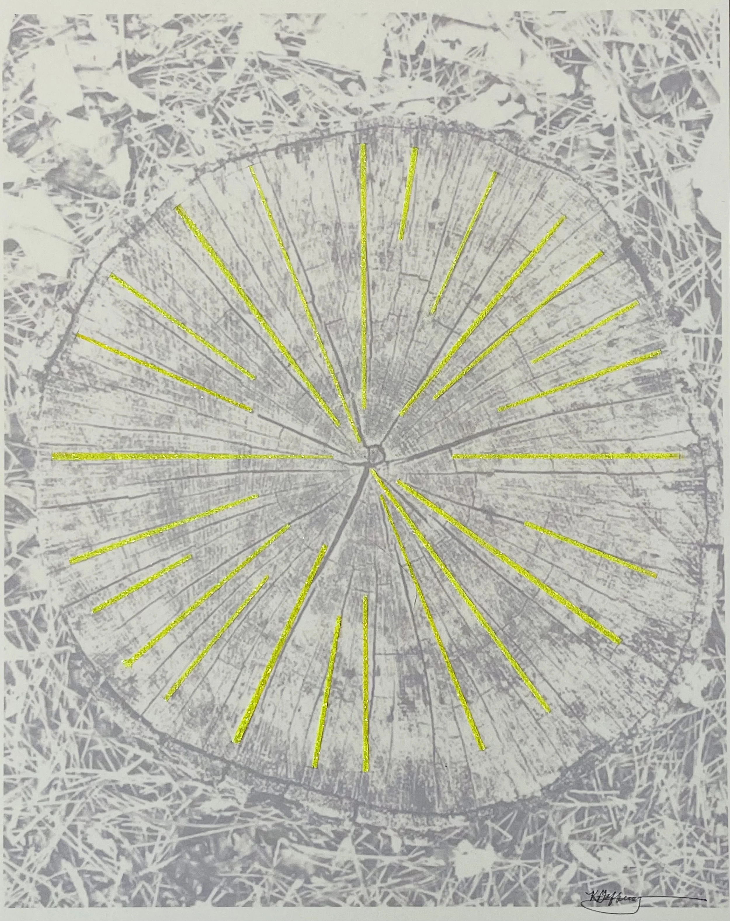 NATURE'S MANDALA #3 |  14 x 11 inches / 35.6 x 27.9 cm, graphite, acrylic, photograph on paper, 2023