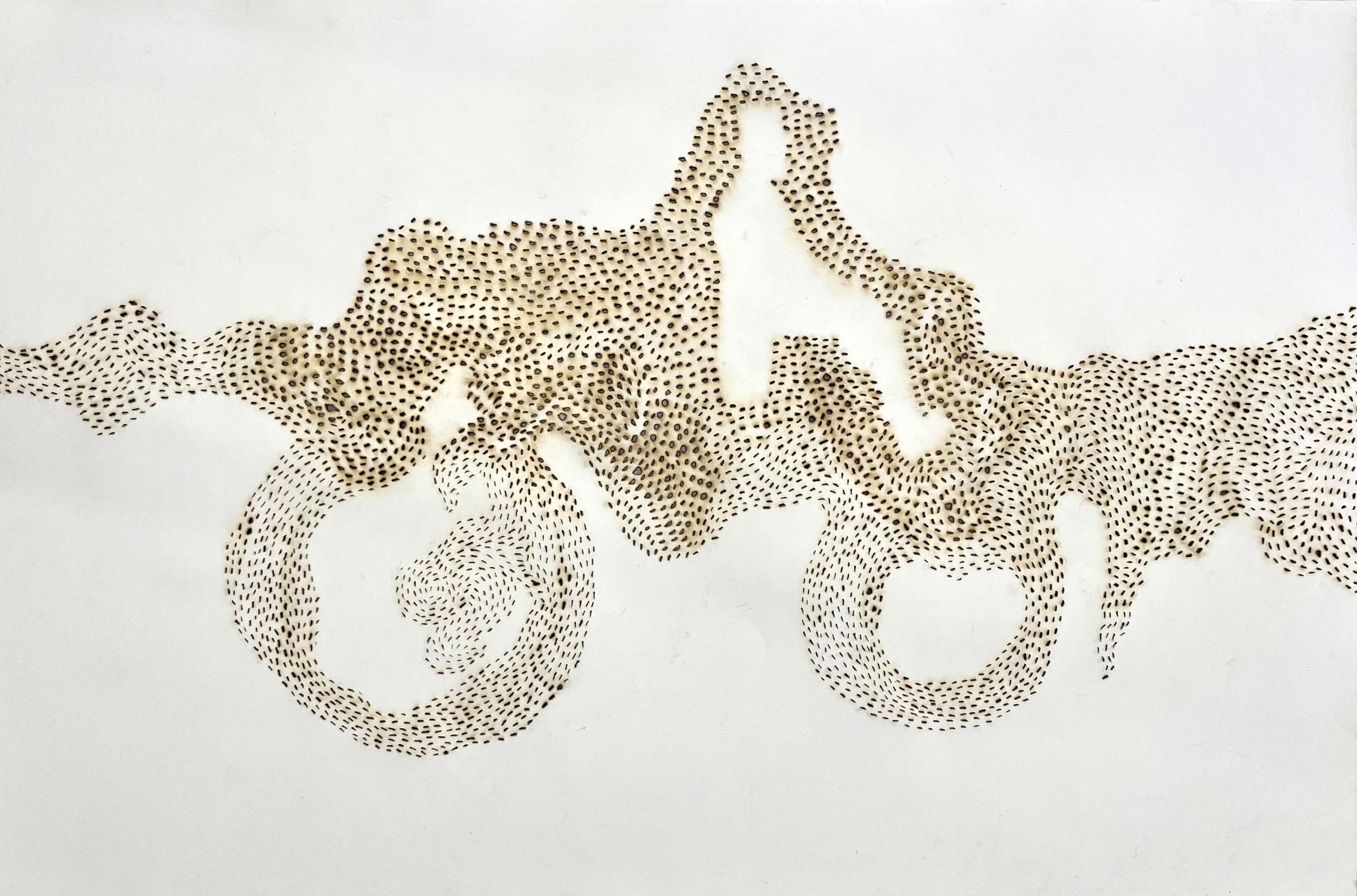 BACK OF SWARM (012_2024_BETWEEN ISLANDS) 