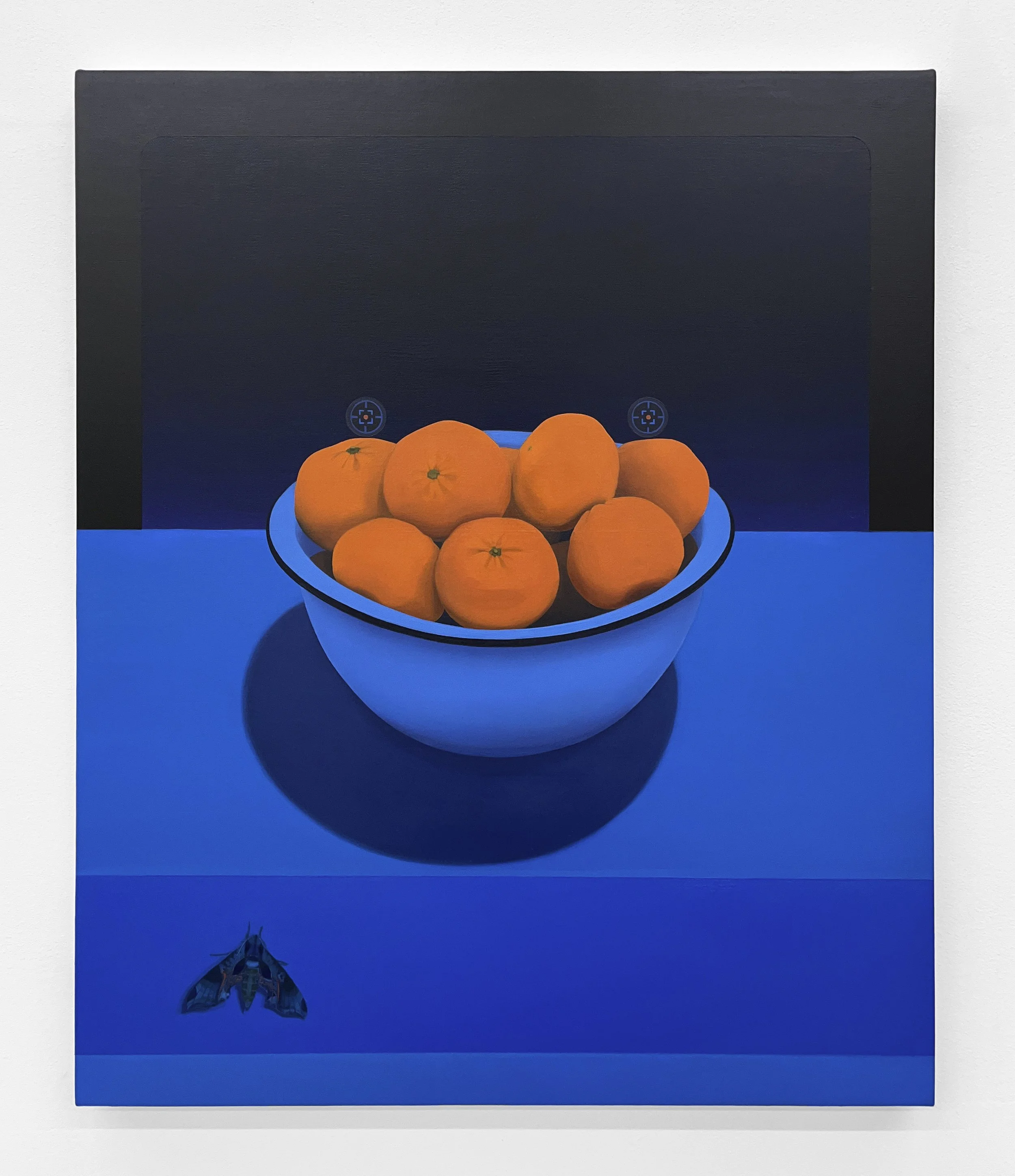ORANGES WITH PANDORA SPHINX MOTH (TWIN TARGETS) | 24 x 20 inches / 61 x 51 cm, oil and wax on canvas over panel, 2025