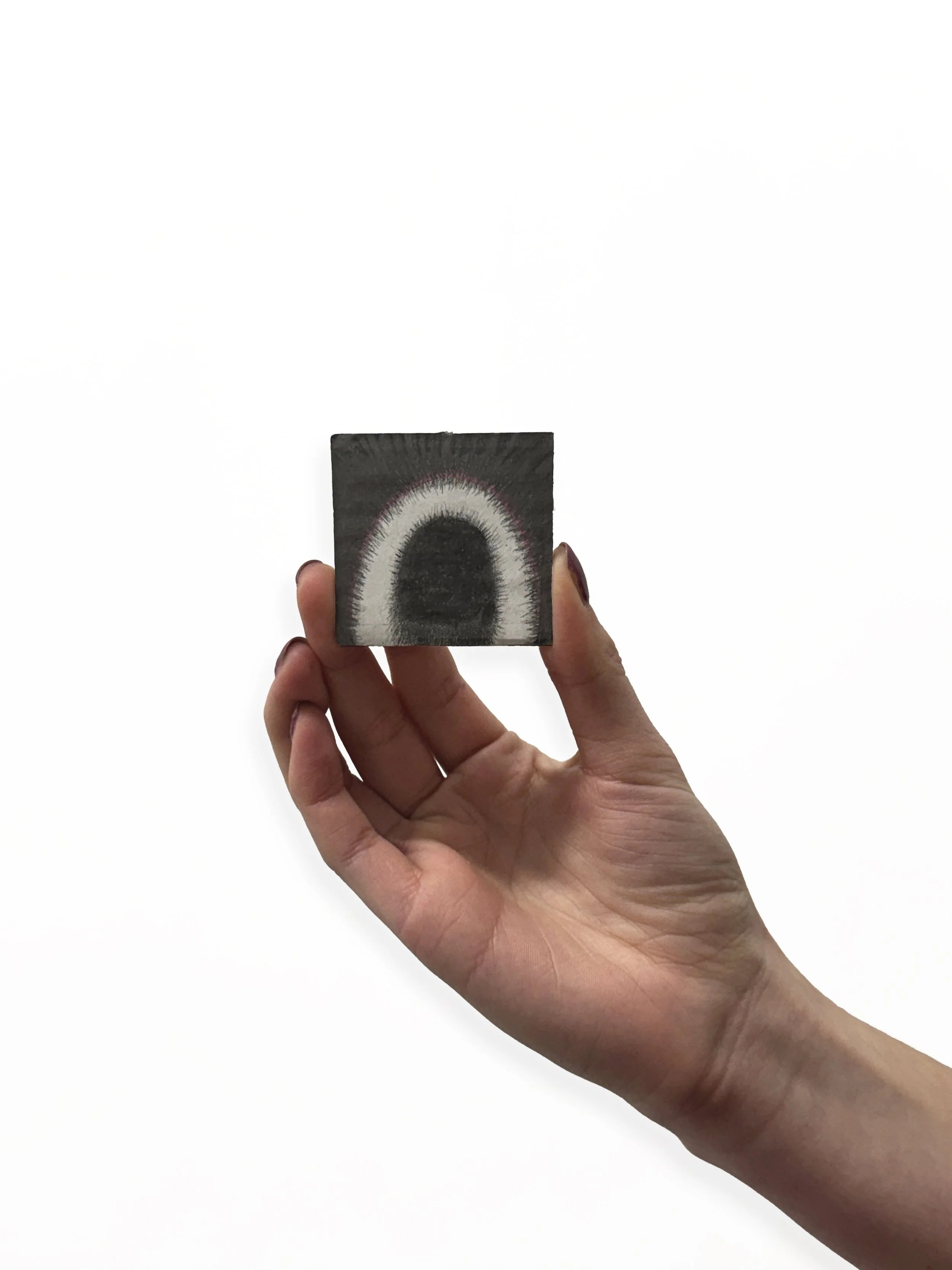 LANE TIMOTHY SPEIDEL