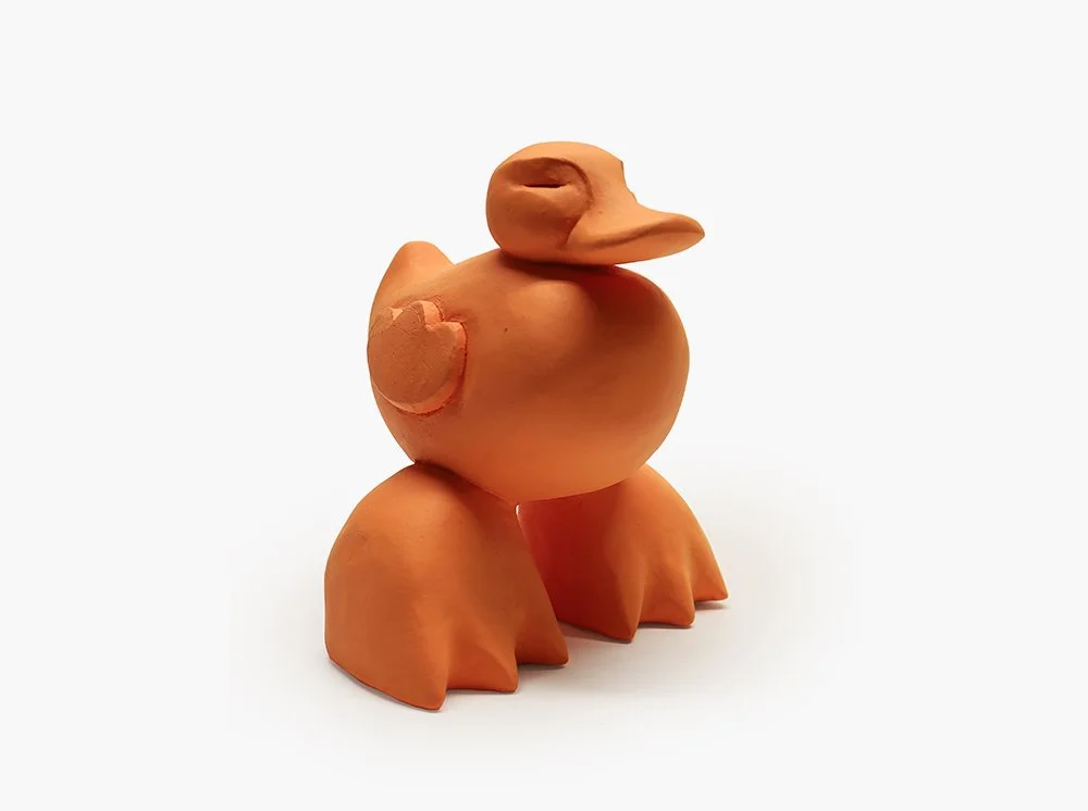 Austynorganice duck_background .jpg