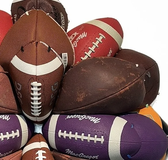 Brandon J. Donahue-shipp- Football Bloom (youth dsg)_31 x 31 x 6 inches_searched_for_and_found_footballs_shoestrings_2025.jpg