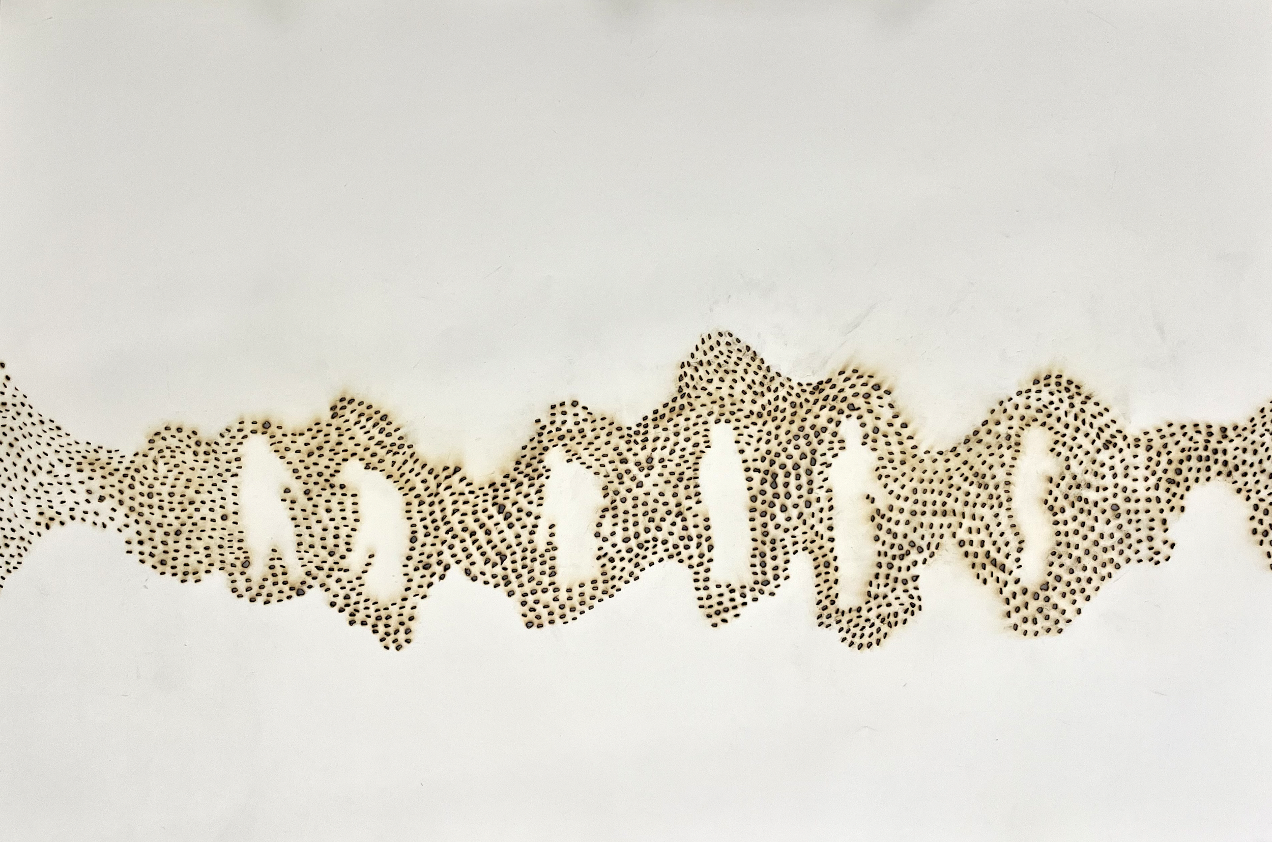 BACK OF SWARM (009_2024_THROUGH THE FIELDS)