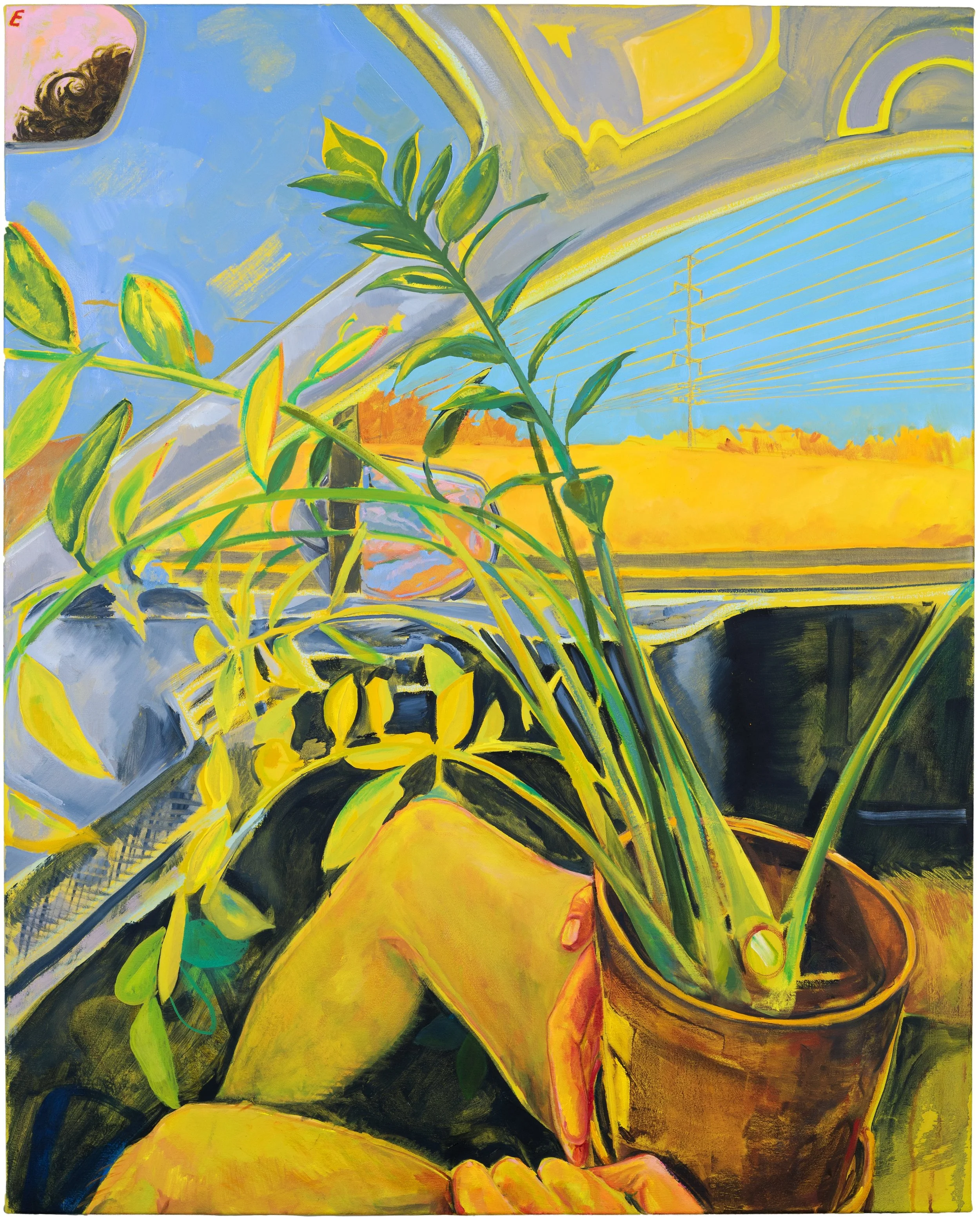 ANNA WEHRWEIN: TENDER GROUND | January 17 - March 8, 2025