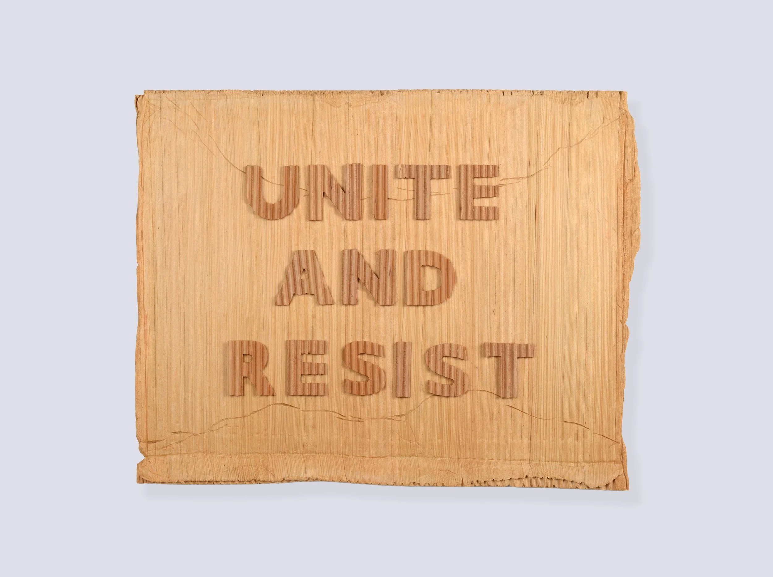 Protest sIGN: Unite and Resist- Humaira Abid