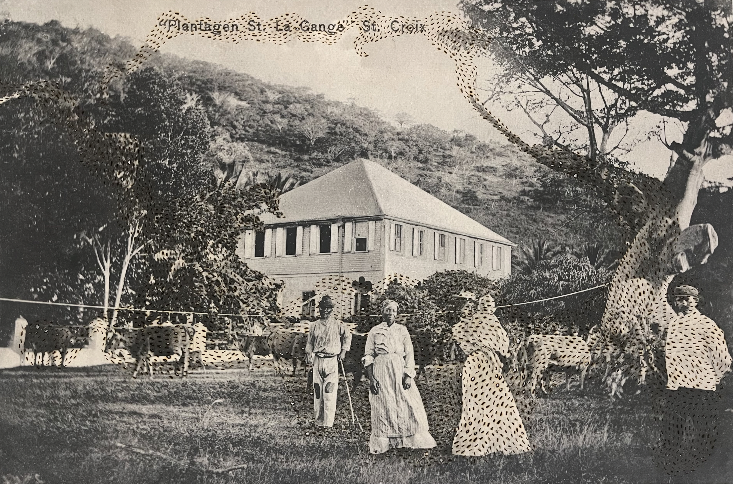 SWARM (010_2024_AMONG THE PHANTASMS) | 24 x 36 inches / 61 x 91 cm - framed 30.5 x 42.5 inches / 77 x 108 cm, cuts and burn on printed photographs, edition 1/1, 2024