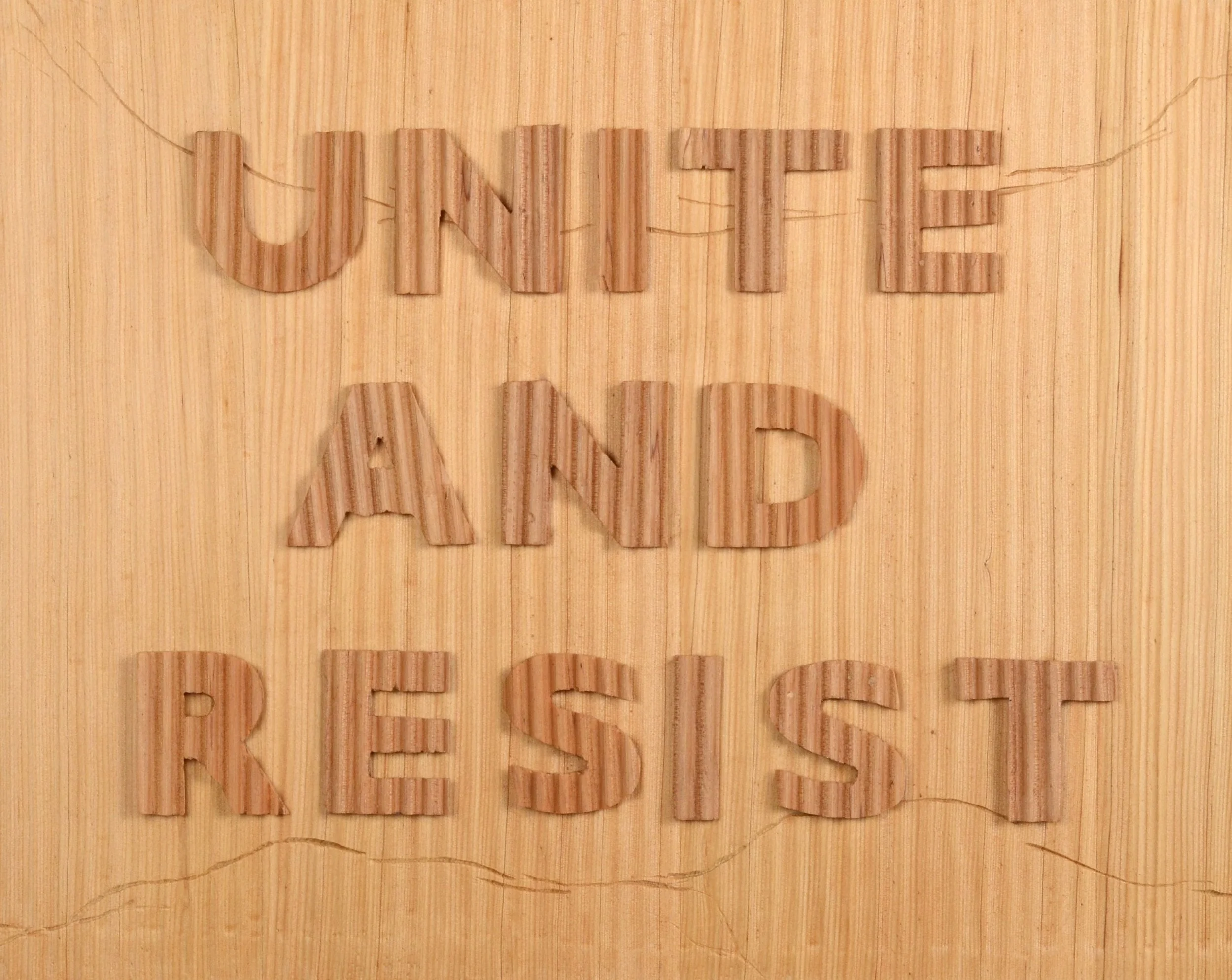 Protest sIGN: Unite and Resist- Humaira Abid