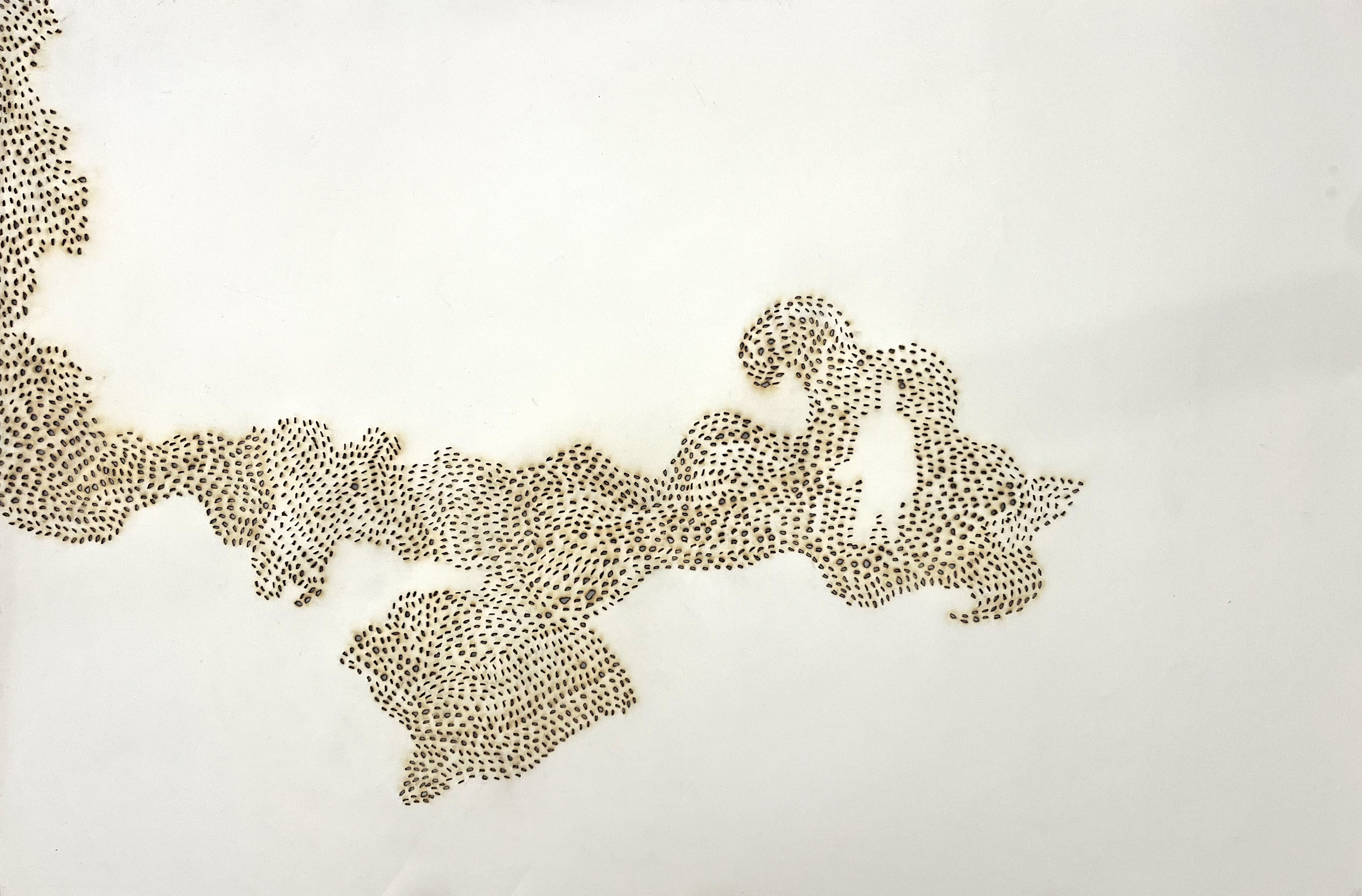 BACK OF SWARM (011_2024_BETWEEN ISLANDS) 