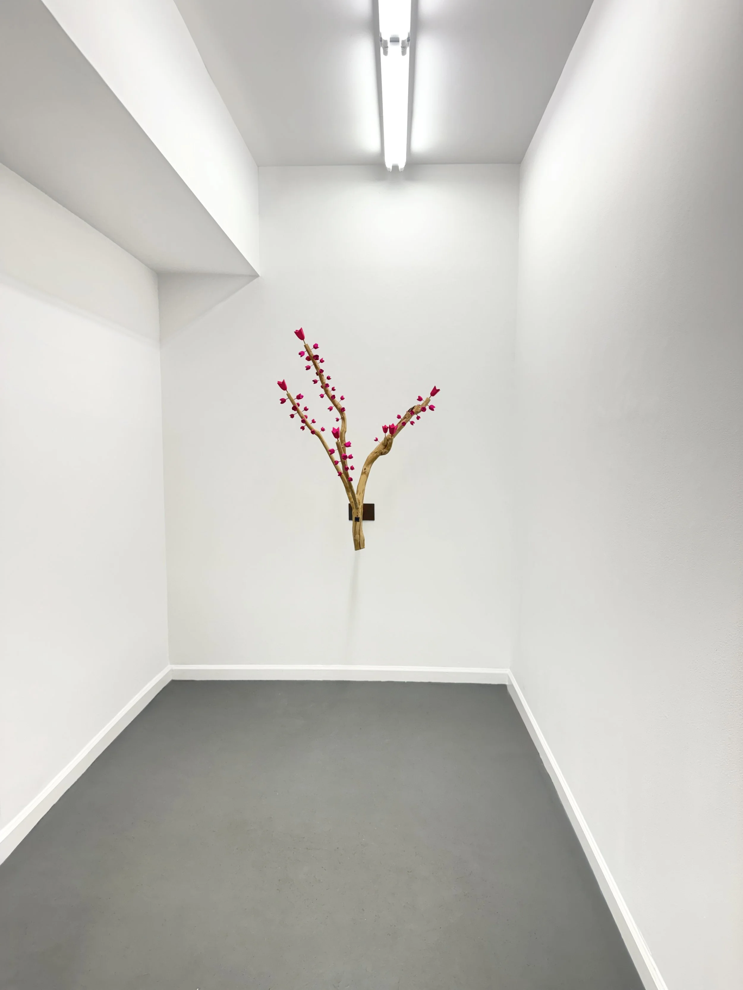 Dan Gunn Installation 8 .jpg