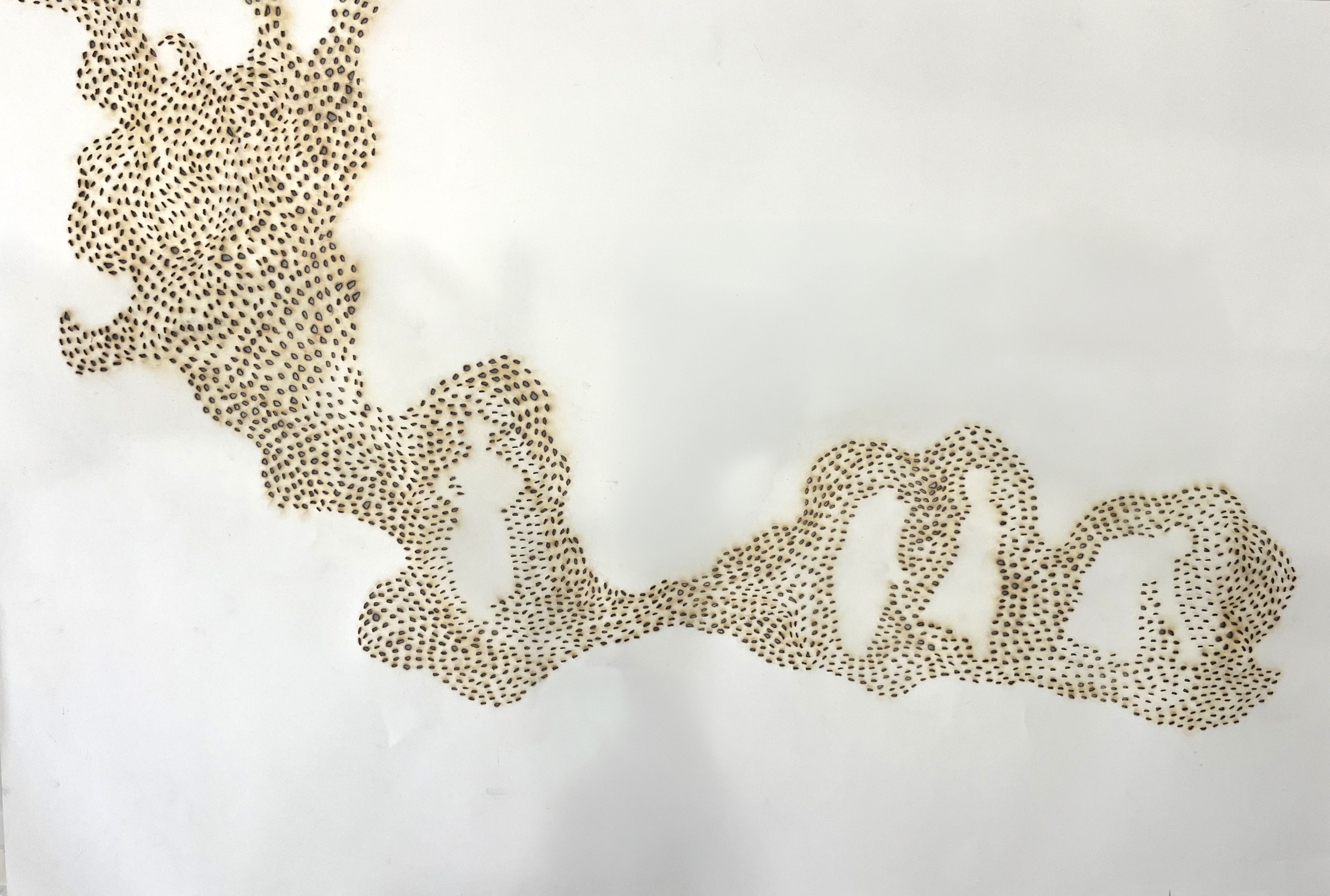 BACK OF SWARM (007_2024_BY THE RIVER) 