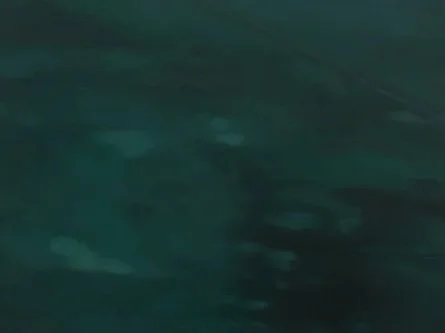 Sarah Pater - UNDERSEA CABLE (GREEN AND BLACK) | 20 x 16 inches / 51 x 41 cm, oil and wax on canvas over panel, 2024