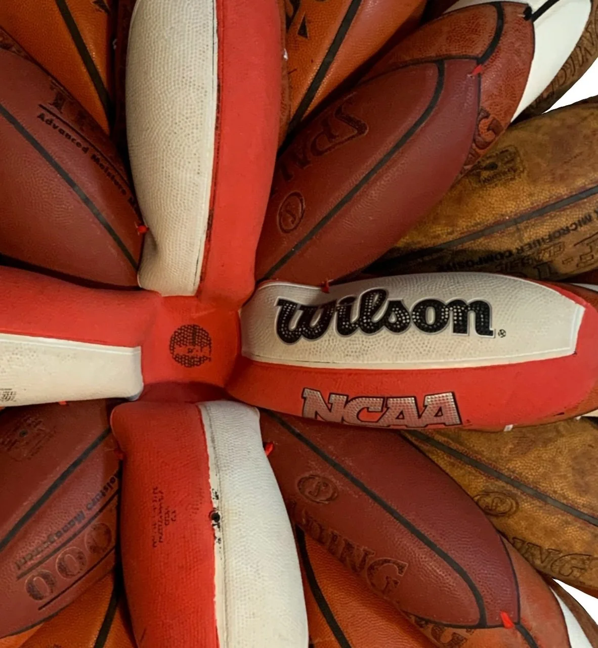 Brandon J. Donahue-Shipp- basketball bloom-40 x 40 x 8 inches / 101 x 101 x 20 cm, searched for and found basketballs, shoestrings, 2022
