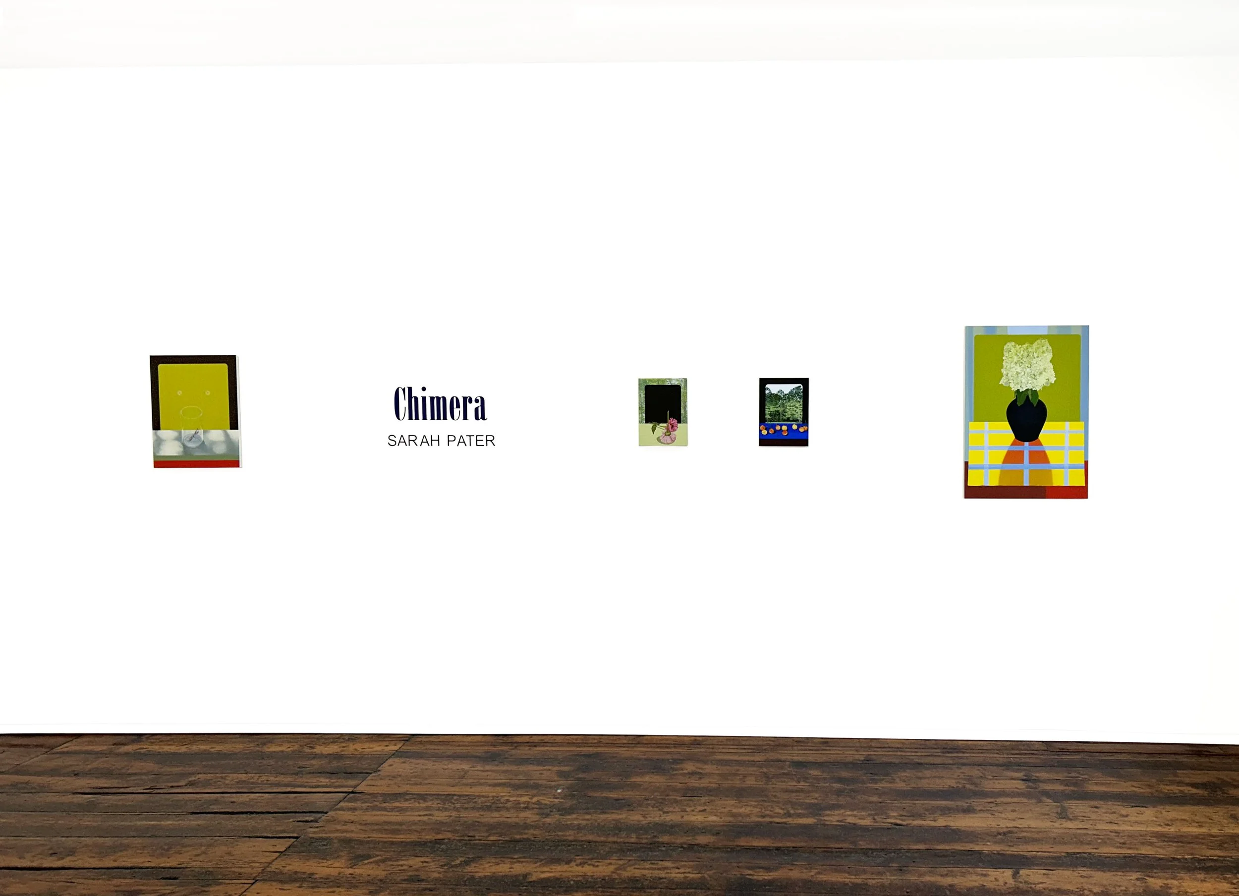 new verison Chimera_Sarah_Pater_Installtion Shot copy 3.jpg