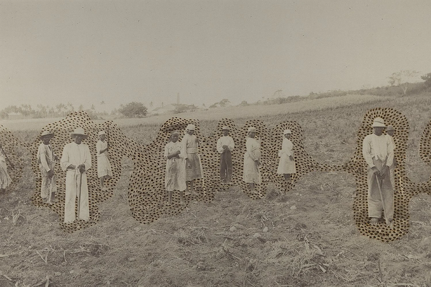 Swarm (006_2023), 24 x 36 inches / 60.96 x 91.44 cm - framed 30.5 x 42.5 inches / 77.47 x 107.95 cm, cuts and burn on printed photographs, edition 1/1, 2023