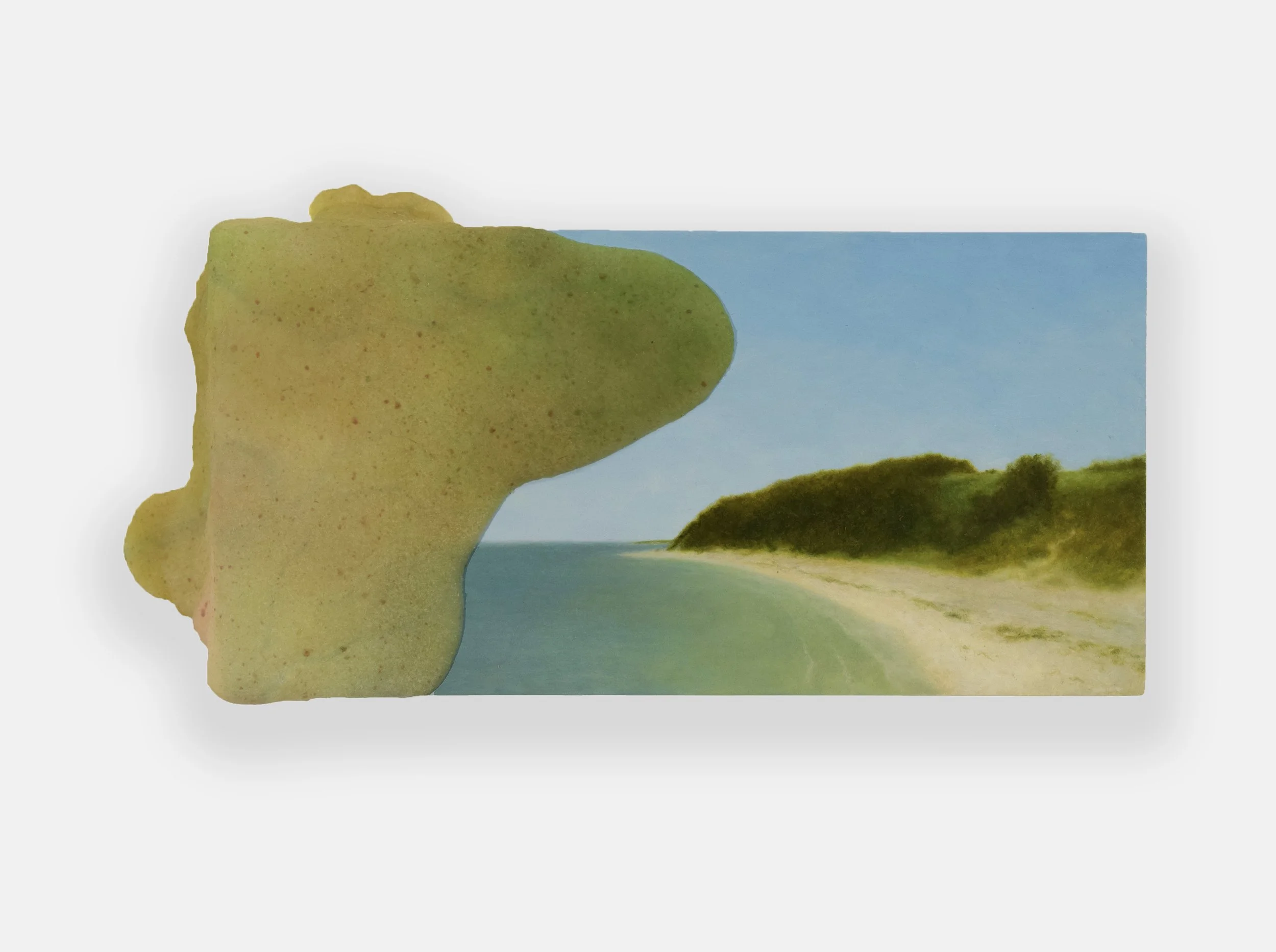 COBI MOULES | BIGGER, FASTER, AND HUNGRIER (EATON’S NECK), 5.5 x 11 x 1.5 inches / 14 x 28 x 4 cm, silicone, flocking, oil on panel, 2024 