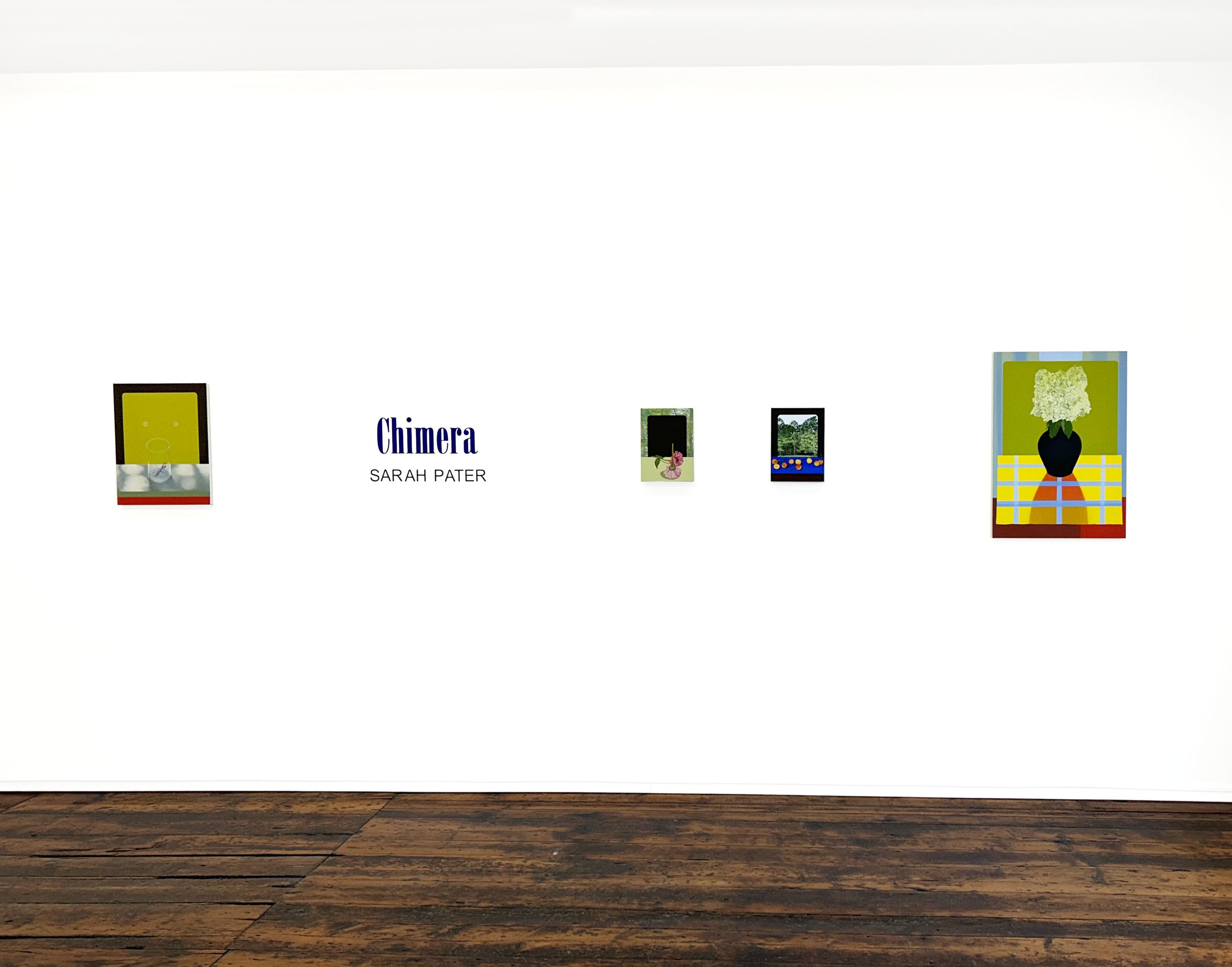 Chimera_Installation 2.jpg