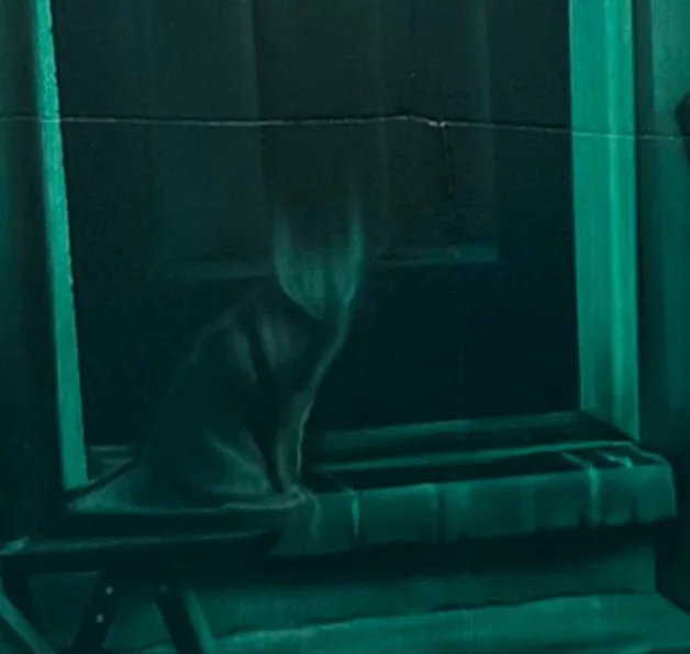 Brandon J. Donahue-Shipp-Back Patio (Green), 54 x 46 x 1.5 inch, acrylic, oil, collage on gessoed t-shirts, 2025.jpg