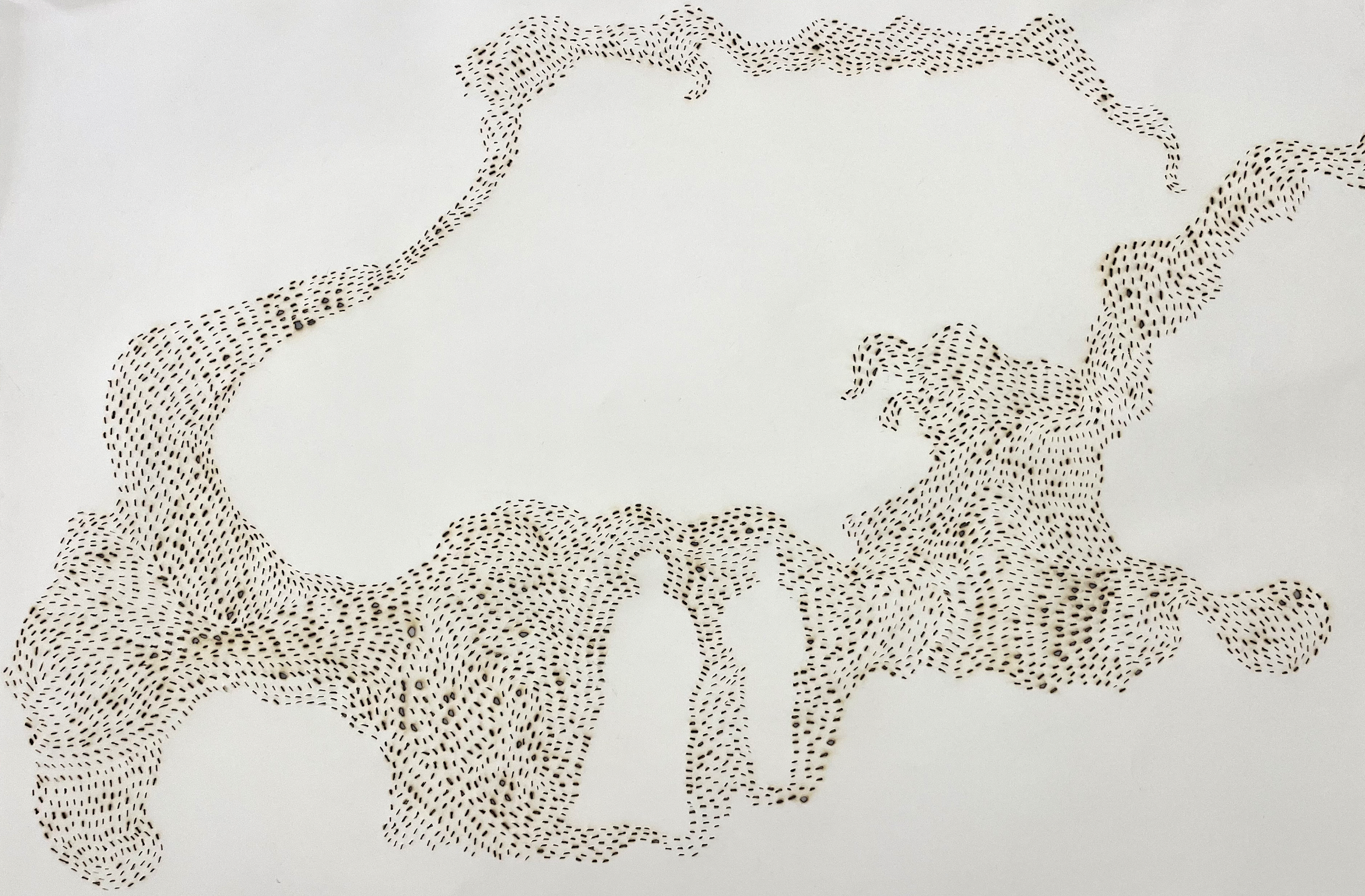 BACK OF SWARM (010_2024_AMONG THE PHANTASMS)