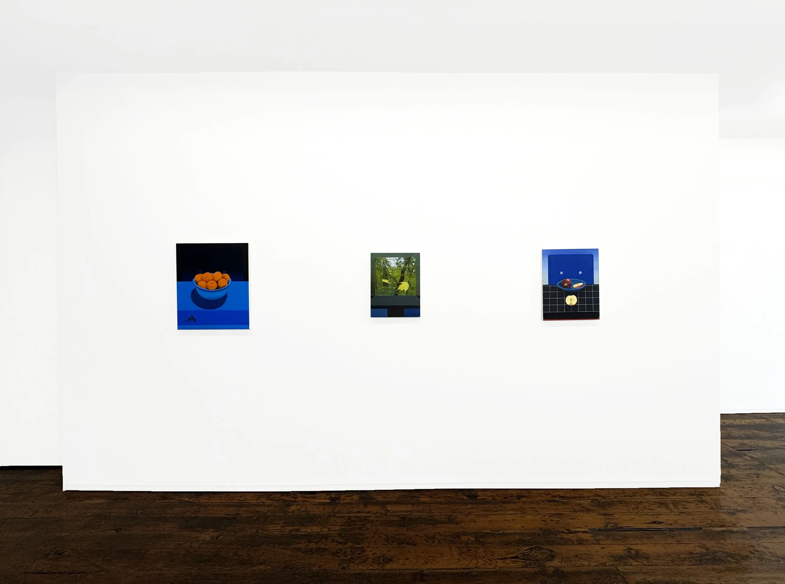 Chimera_Installation 3.jpg