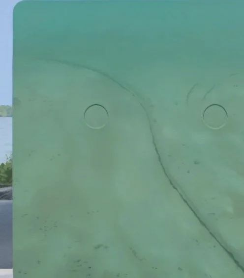 Sarah pater- SNAKE IN DAPPLED SUNLIGHT AT THE RIVER (UNDERSEA CABLES) | 18 × 14 inches / 45.7 × 35.6 cm, oil and wax on linen over panel, 2024