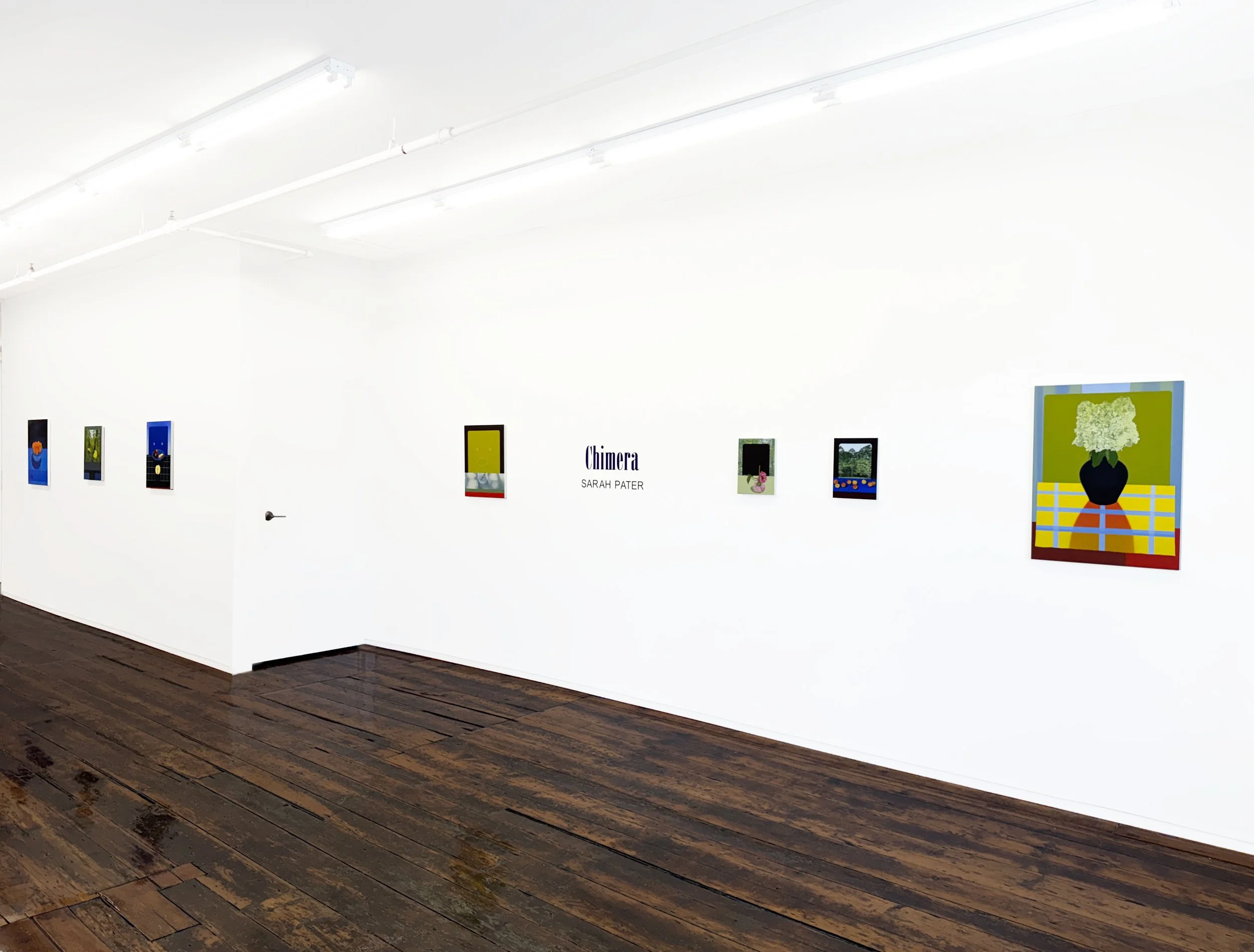 Chimera_Installation 1.jpg