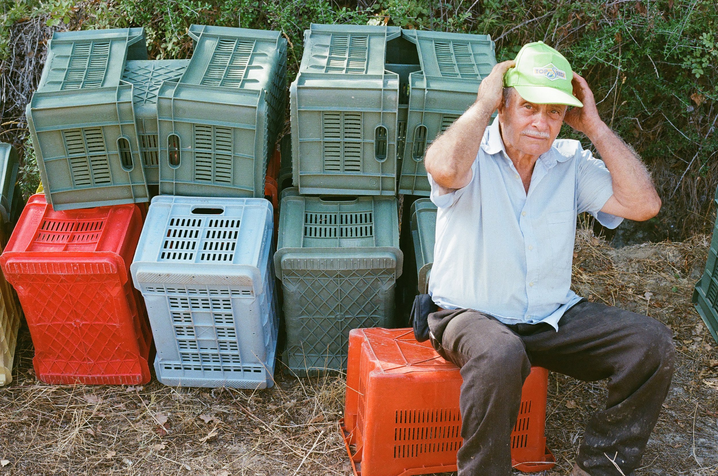 harvest workers | photo: Olivia Cappelletti