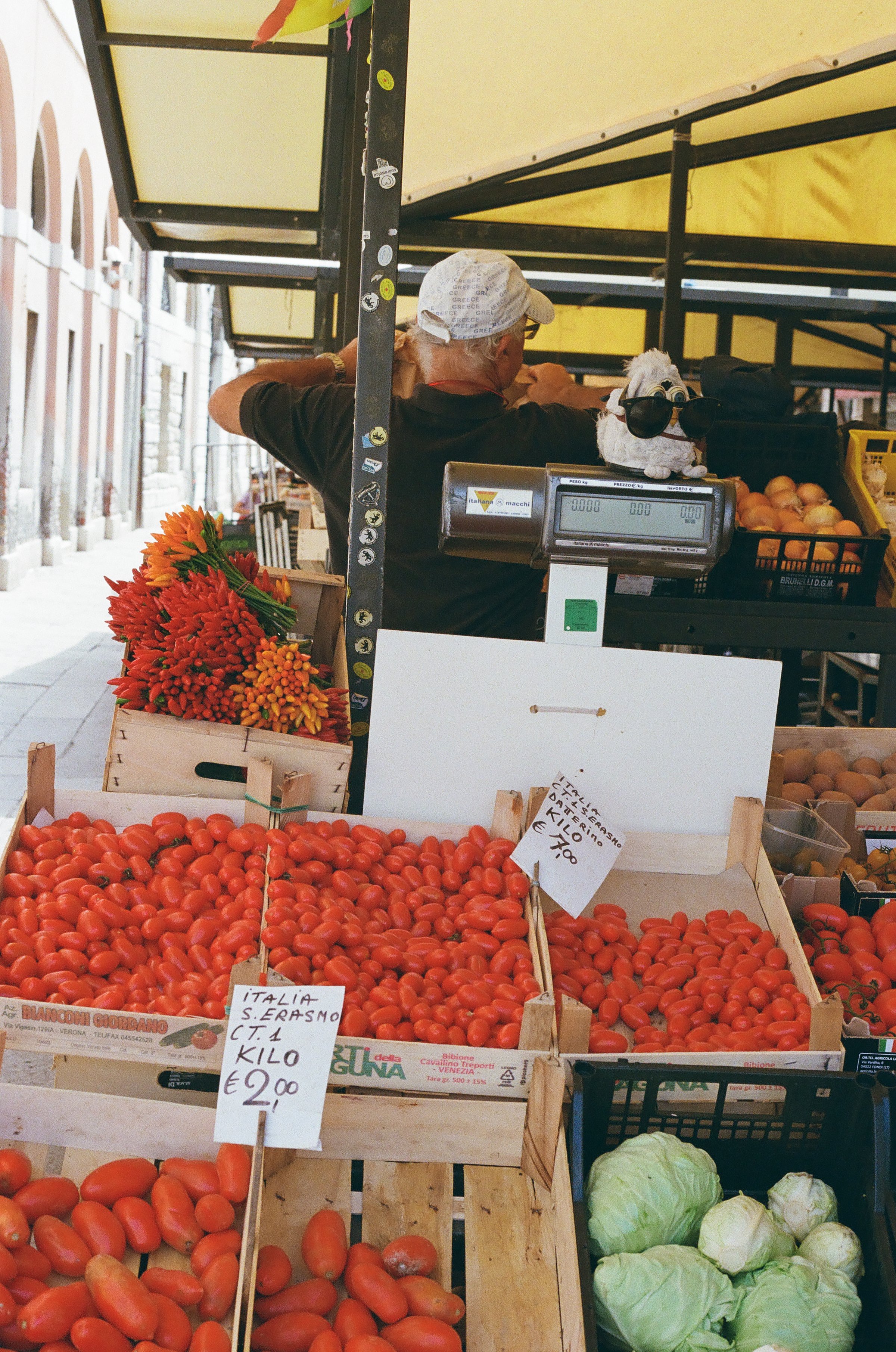 il mercato di venezia | photo: Olivia Cappelletti
