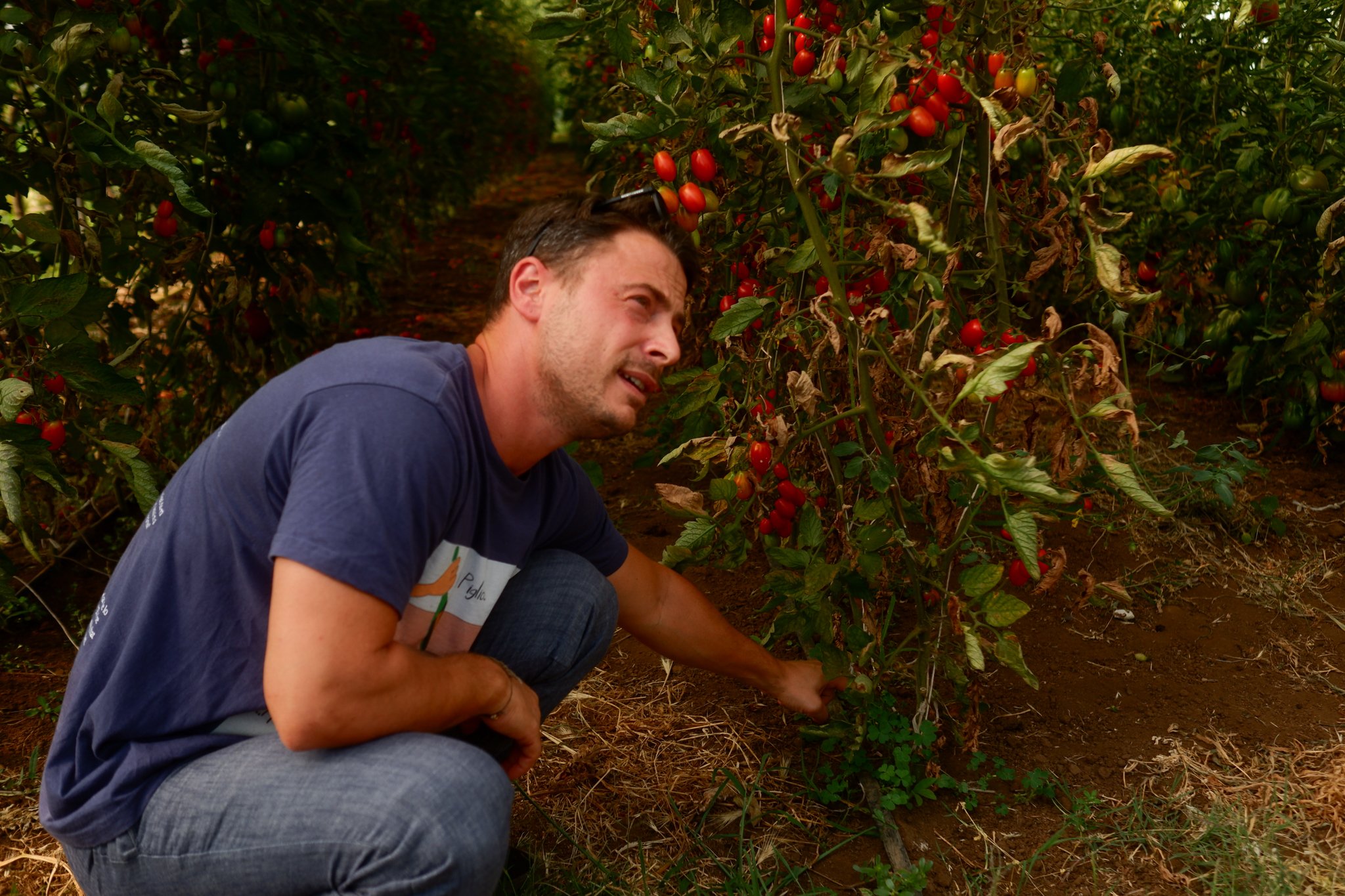Carlo Noro in his biodynamic farm, Lazio, IT | photo: Olivia Cappelletti