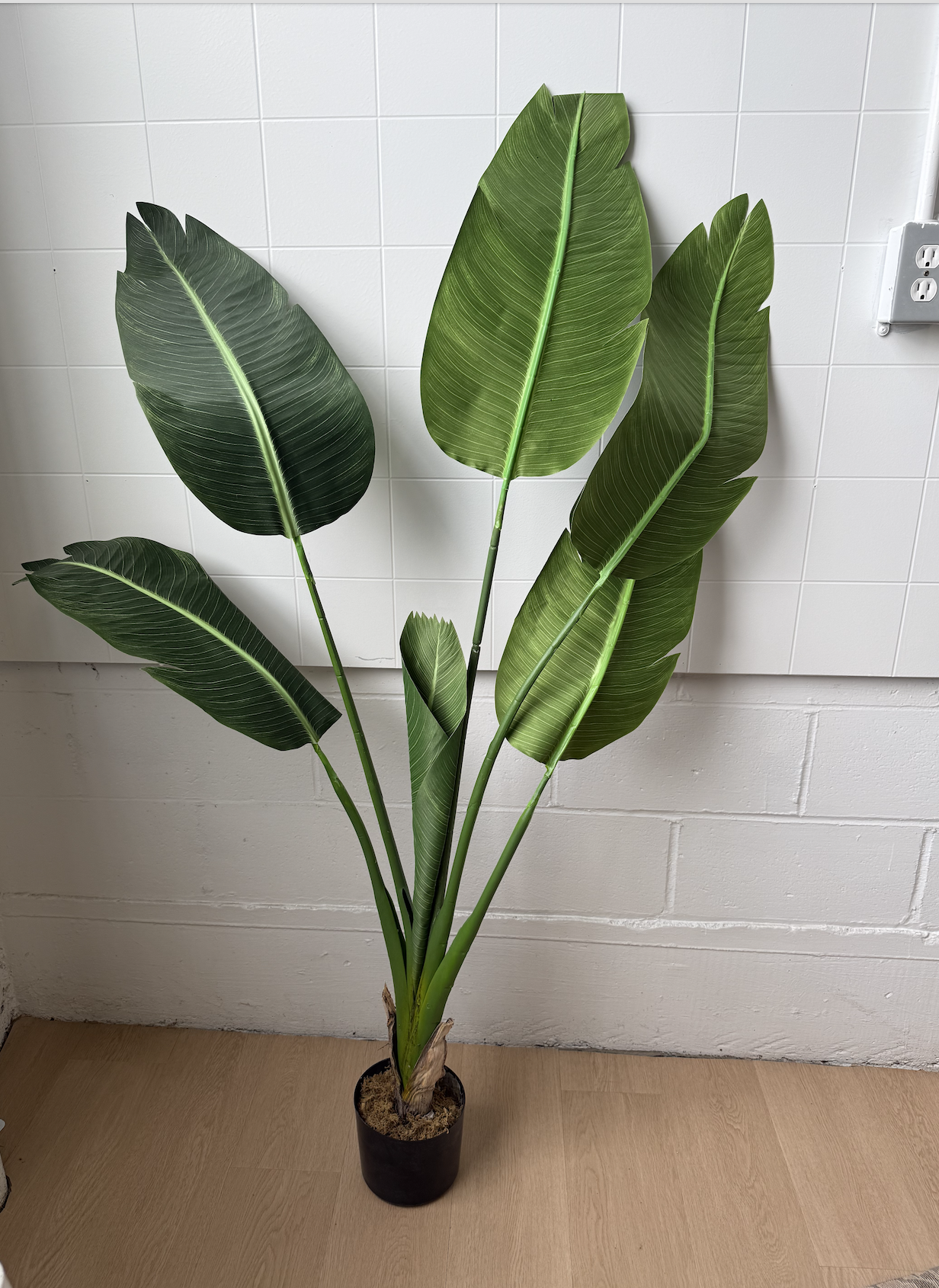 Screenshot 2026-04-17 at 8.27.37 AM.png