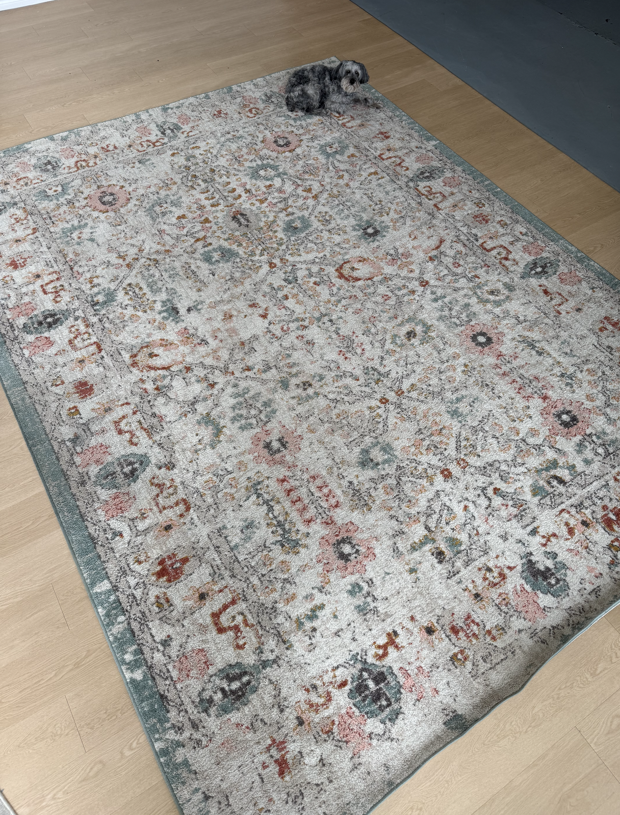 Screenshot 2026-04-17 at 8.11.08 AM.png