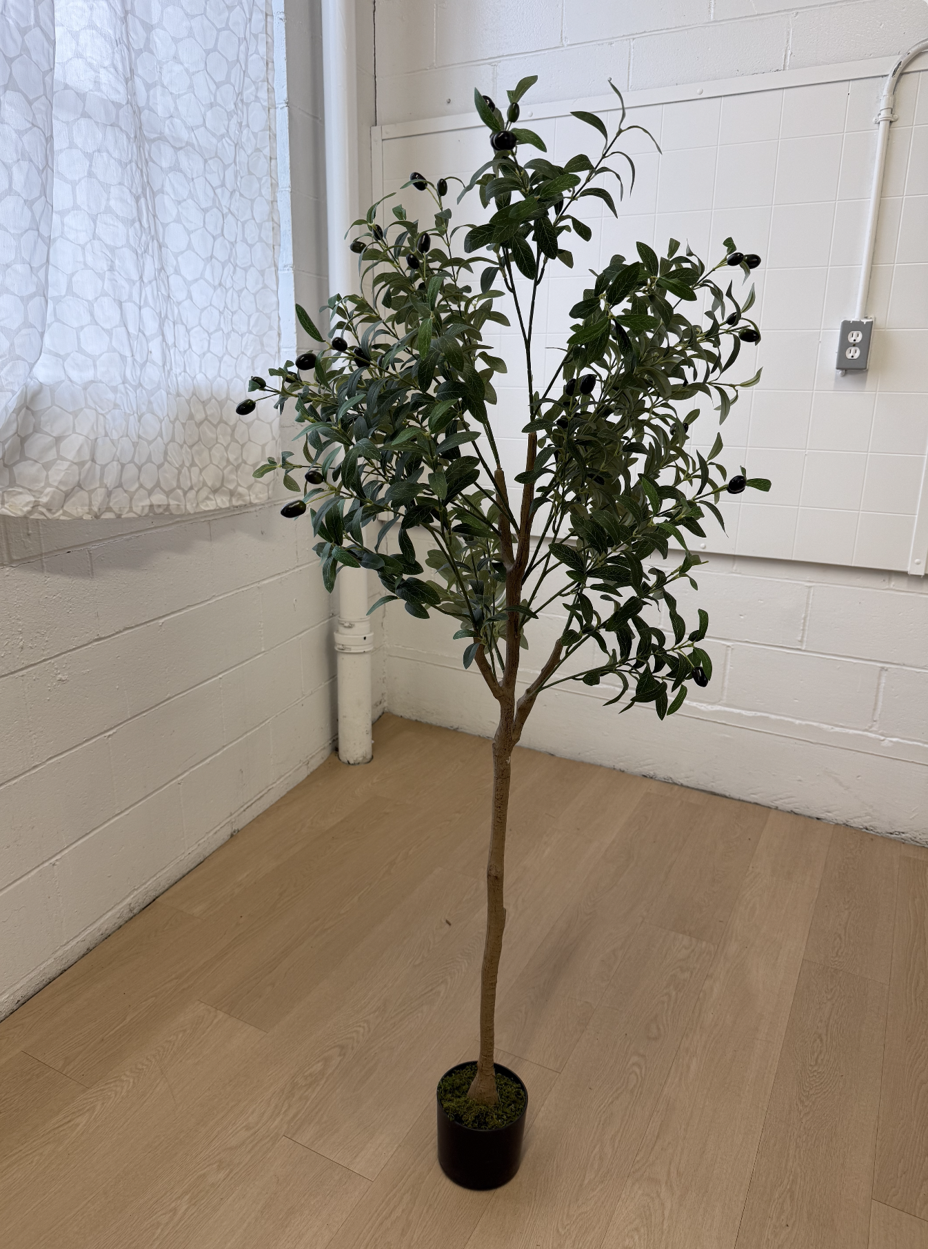 Artificial Olive Tree (2 available)