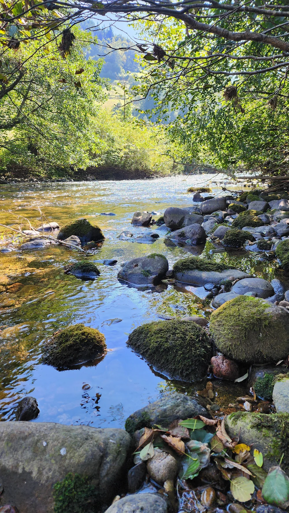 Clear water along a rocky shoreline