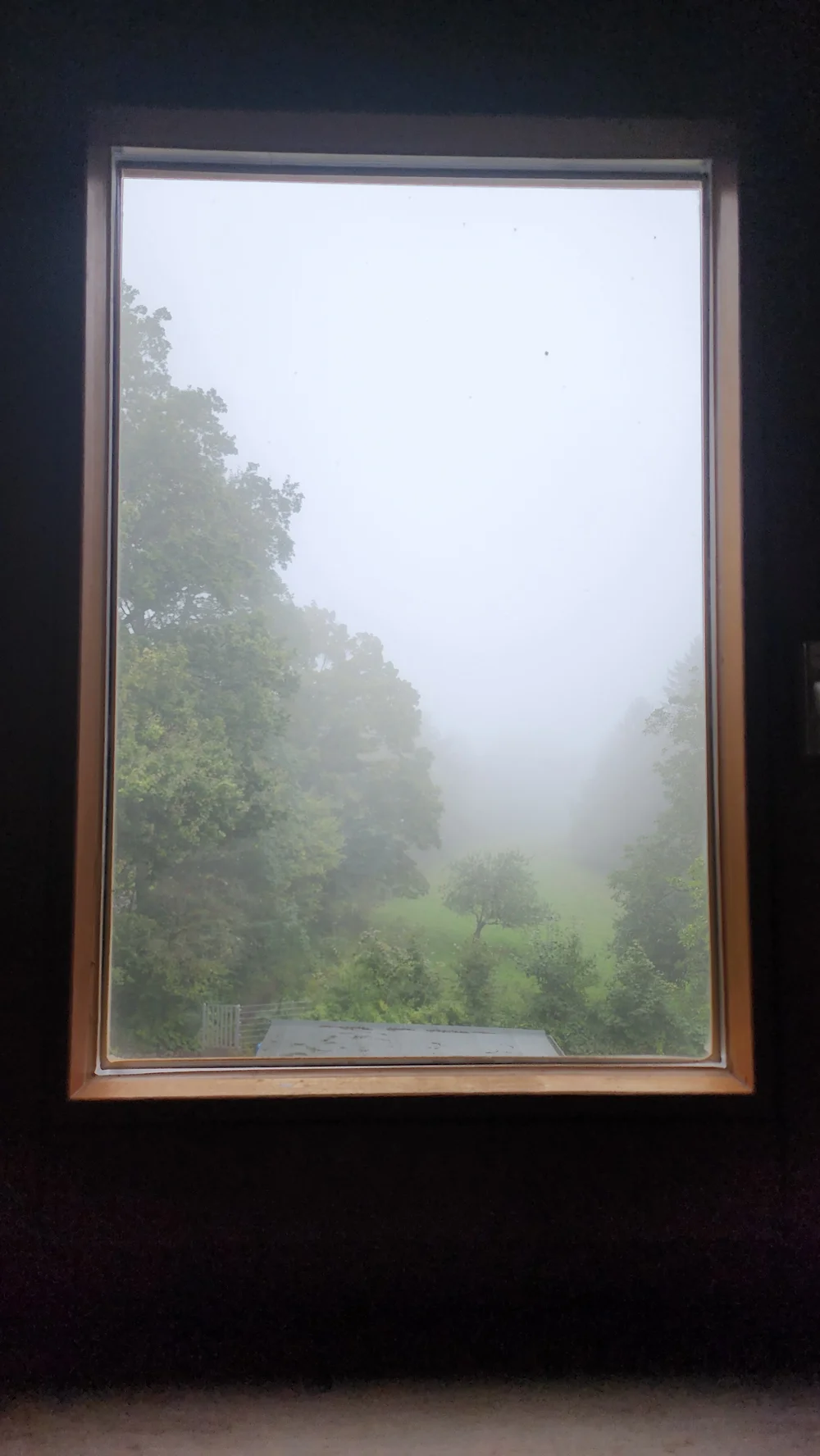 A misty morning seen through a window