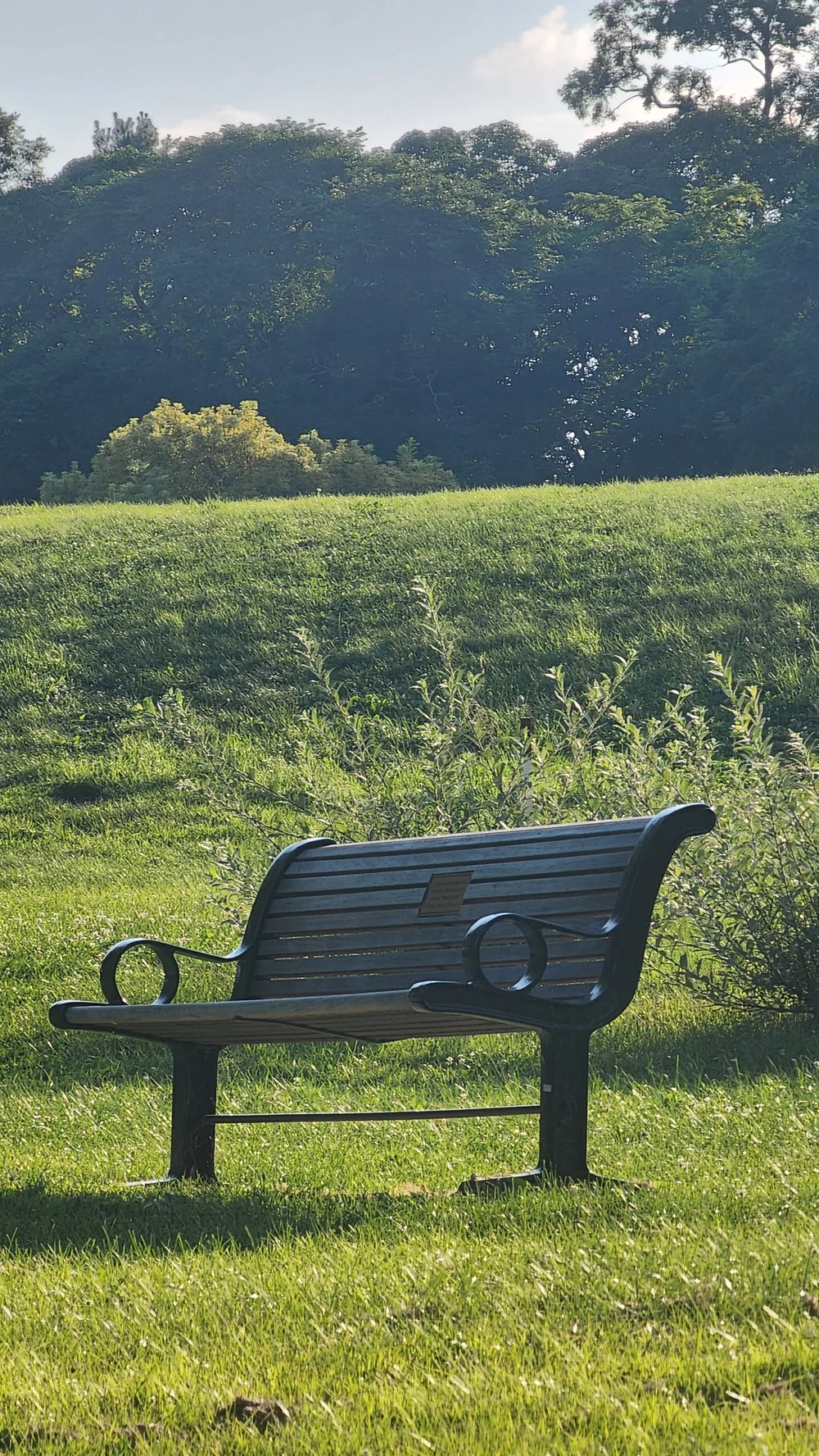 An empty bench looking out over a field