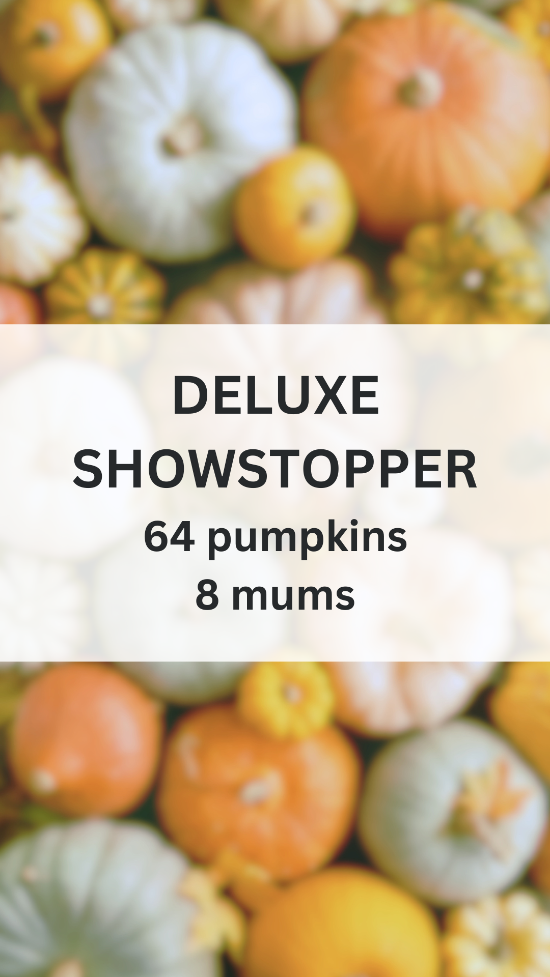 DELUXE SHOWSTOPPER.png