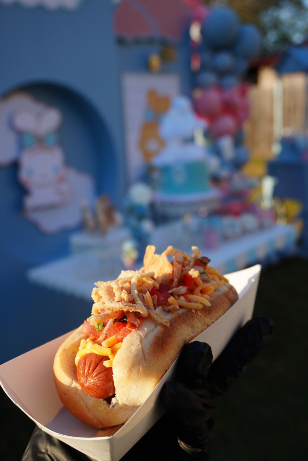 WhatsApp Image 2026-02-03 at 5.07.17 PM (1).jpeg