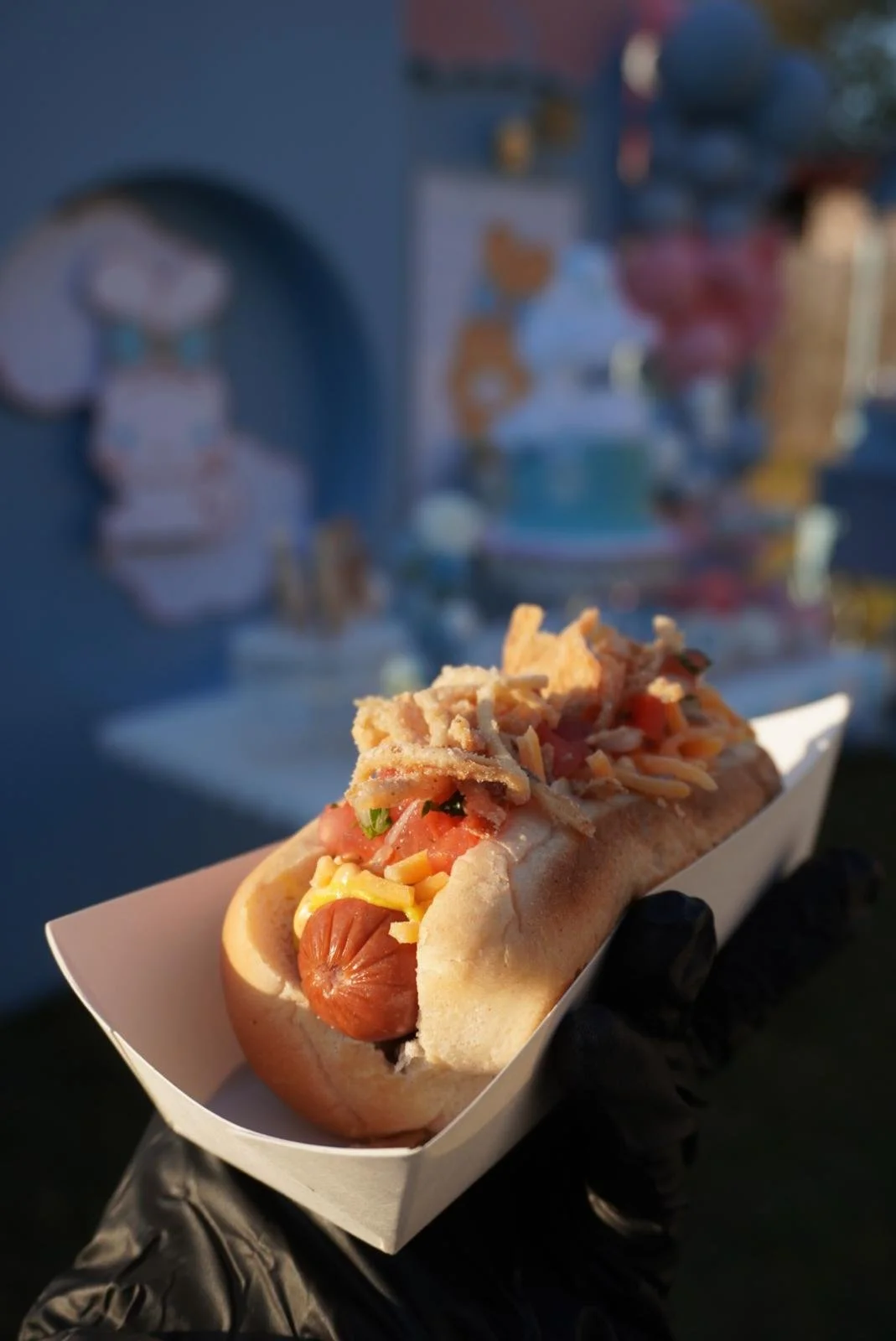 WhatsApp Image 2026-02-03 at 5.07.17 PM.jpeg