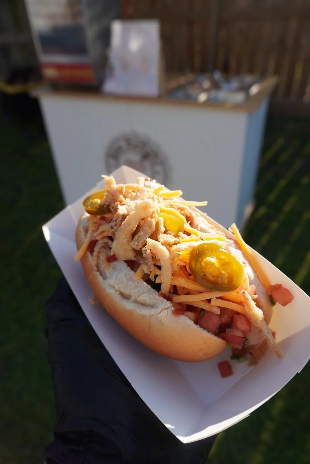 WhatsApp Image 2026-02-03 at 5.07.17 PM (4).jpeg