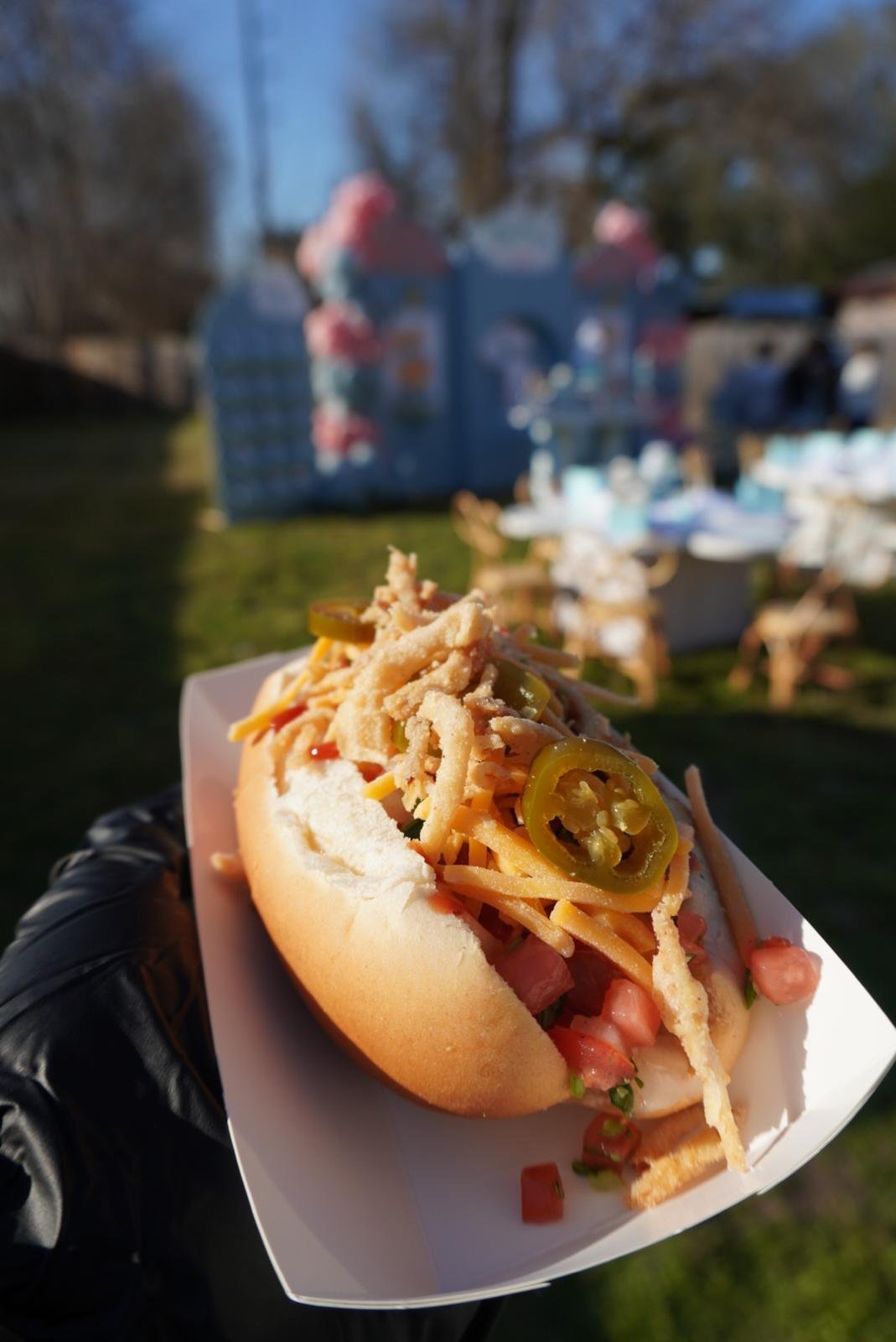 WhatsApp Image 2026-02-03 at 5.07.17 PM (6).jpeg