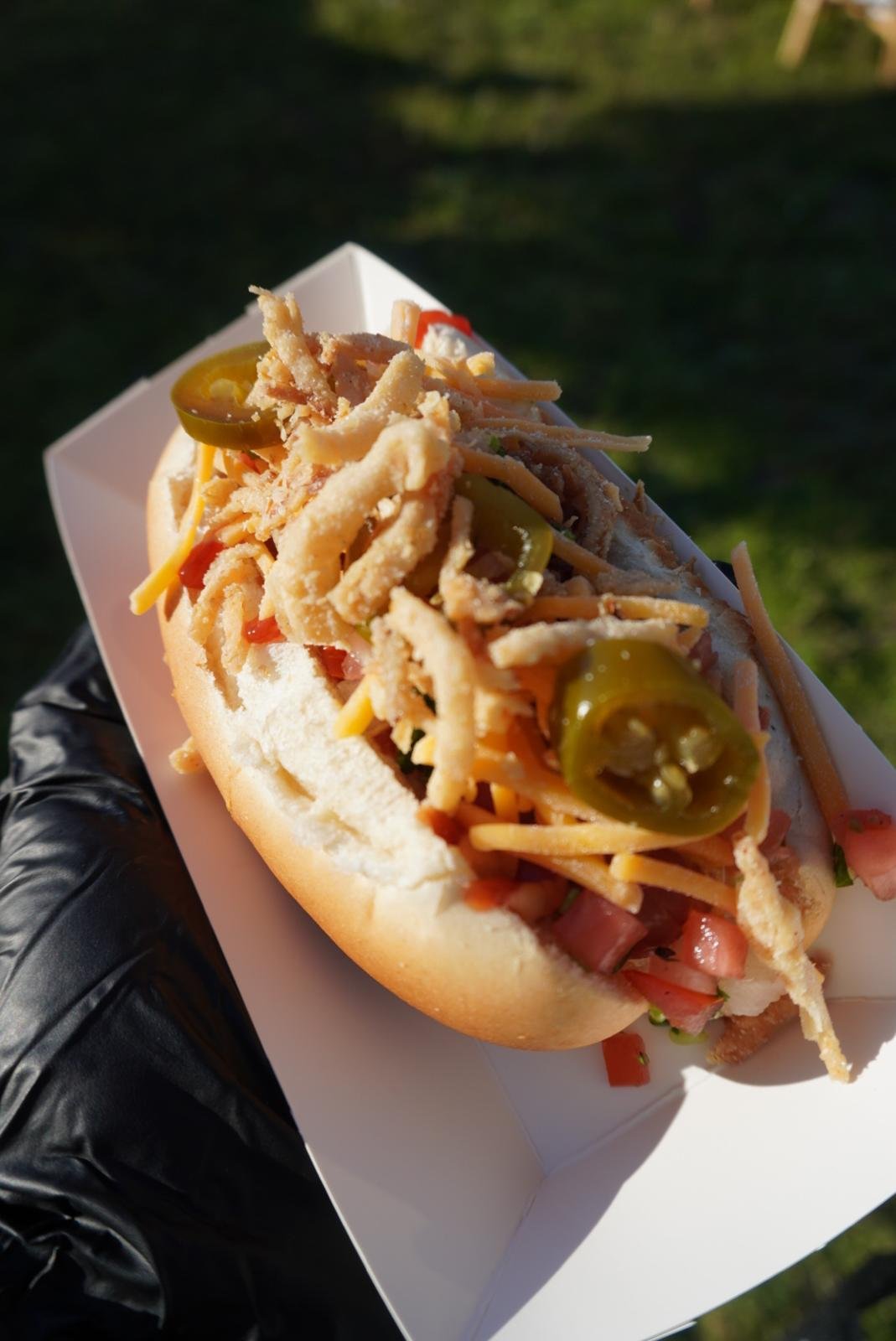 WhatsApp Image 2026-02-03 at 5.07.17 PM (5).jpeg