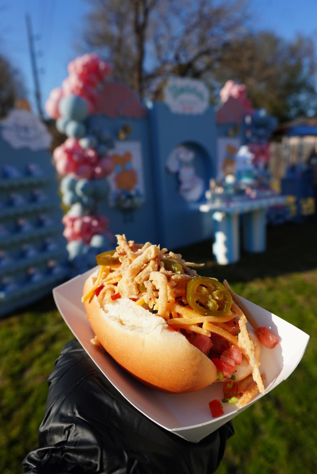 WhatsApp Image 2026-02-03 at 5.07.17 PM (2).jpeg