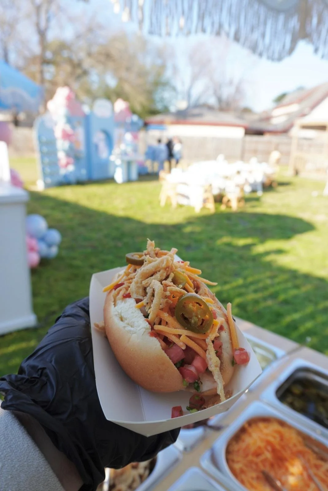 WhatsApp Image 2026-02-03 at 5.07.17 PM (7).jpeg