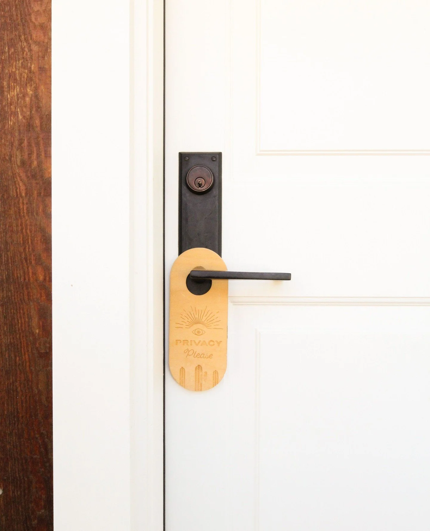 Shh... hibernation is happening 💤