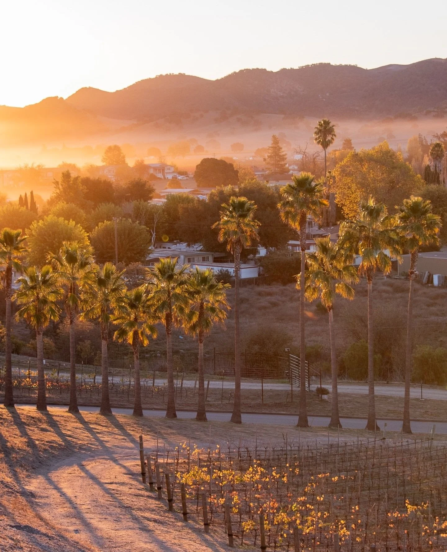 At the top of the gratitude list ☀️ Happy Thanksgiving, y'all! ⁠
⁠
.⁠
.⁠
.⁠
⁠
Photo: @thenomadicpeople