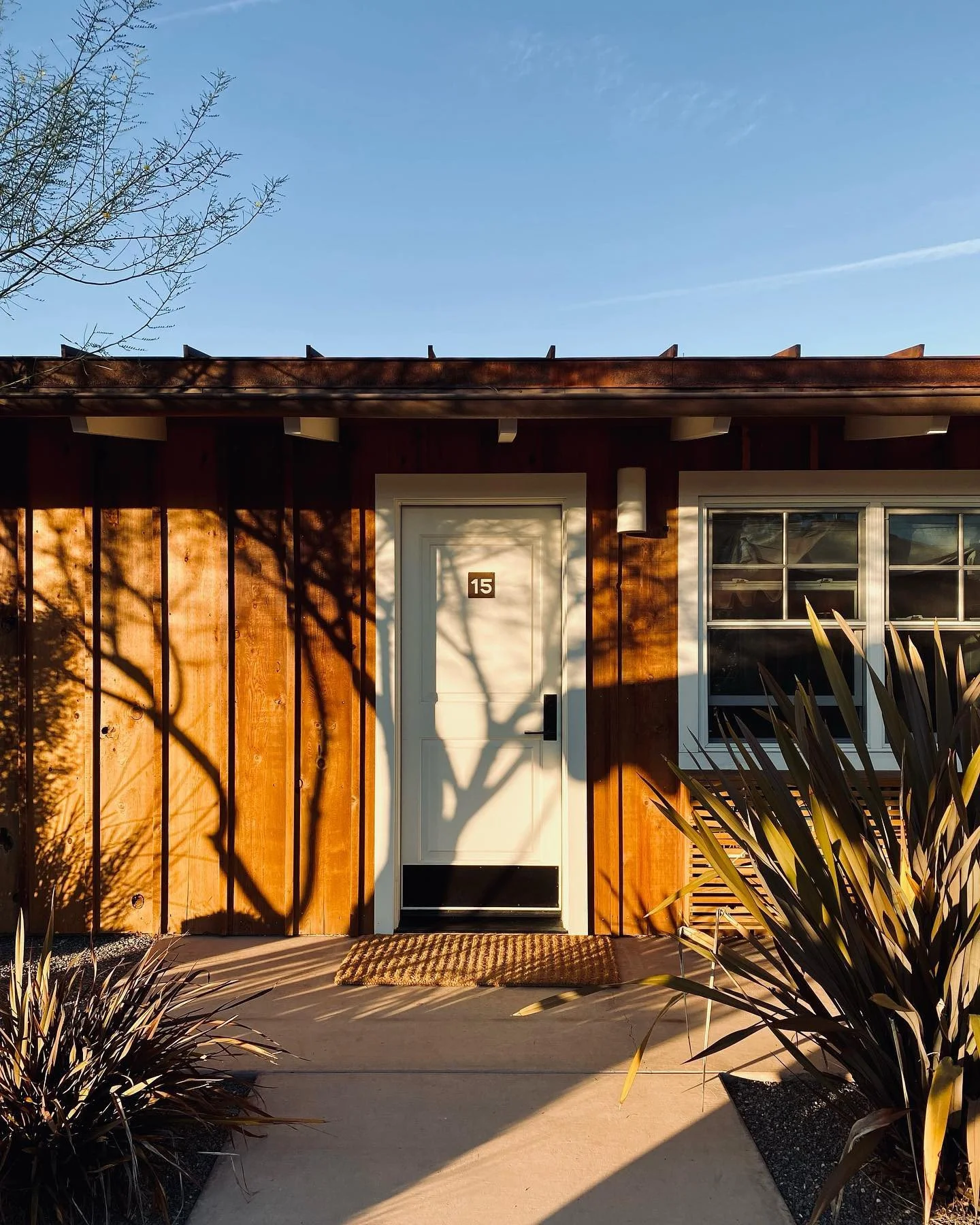 @misslindsaymeagan playing with shadows 🌀