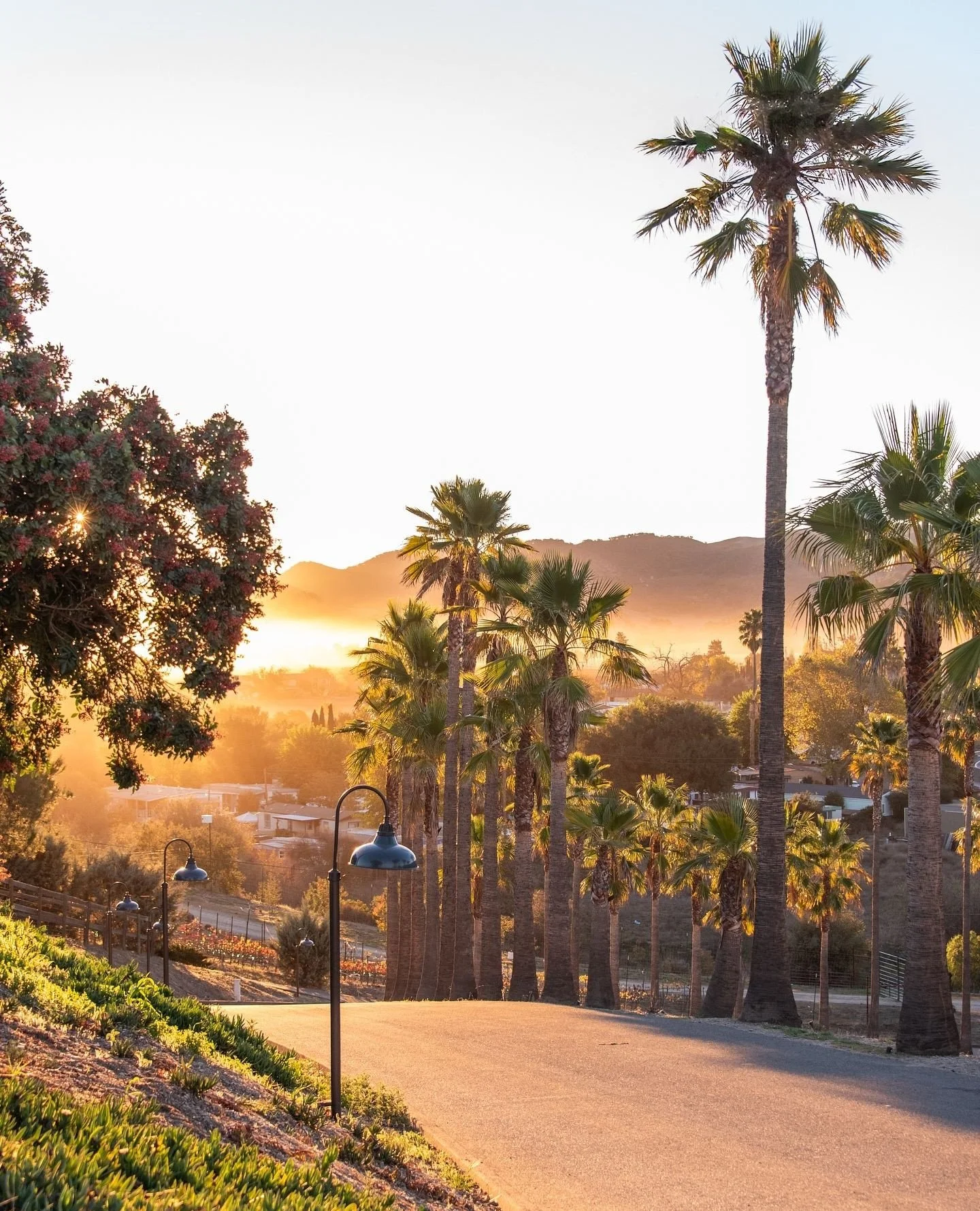 Morning views in the valley 🌴 ⁠
⁠
.⁠
.⁠
.⁠
⁠
 Photo: @thenomadicpeople