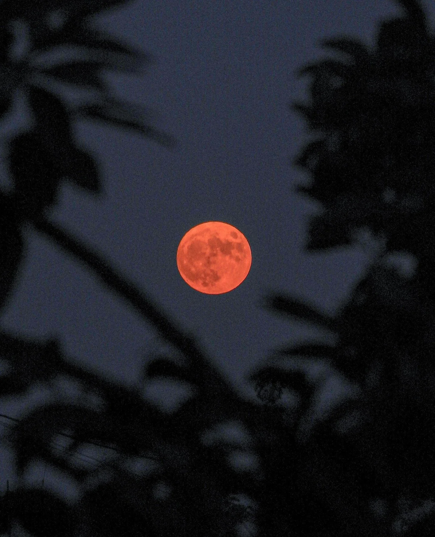 Tonight, the sky puts on a show &mdash; a total lunar eclipse during the Blood Moon. Here in Los Alamos, totality will be visible 3&ndash;4 am, when the Moon is fully in Earth&rsquo;s shadow and glows red 💥 ⁠
⁠
Rare moments like this are said to mar