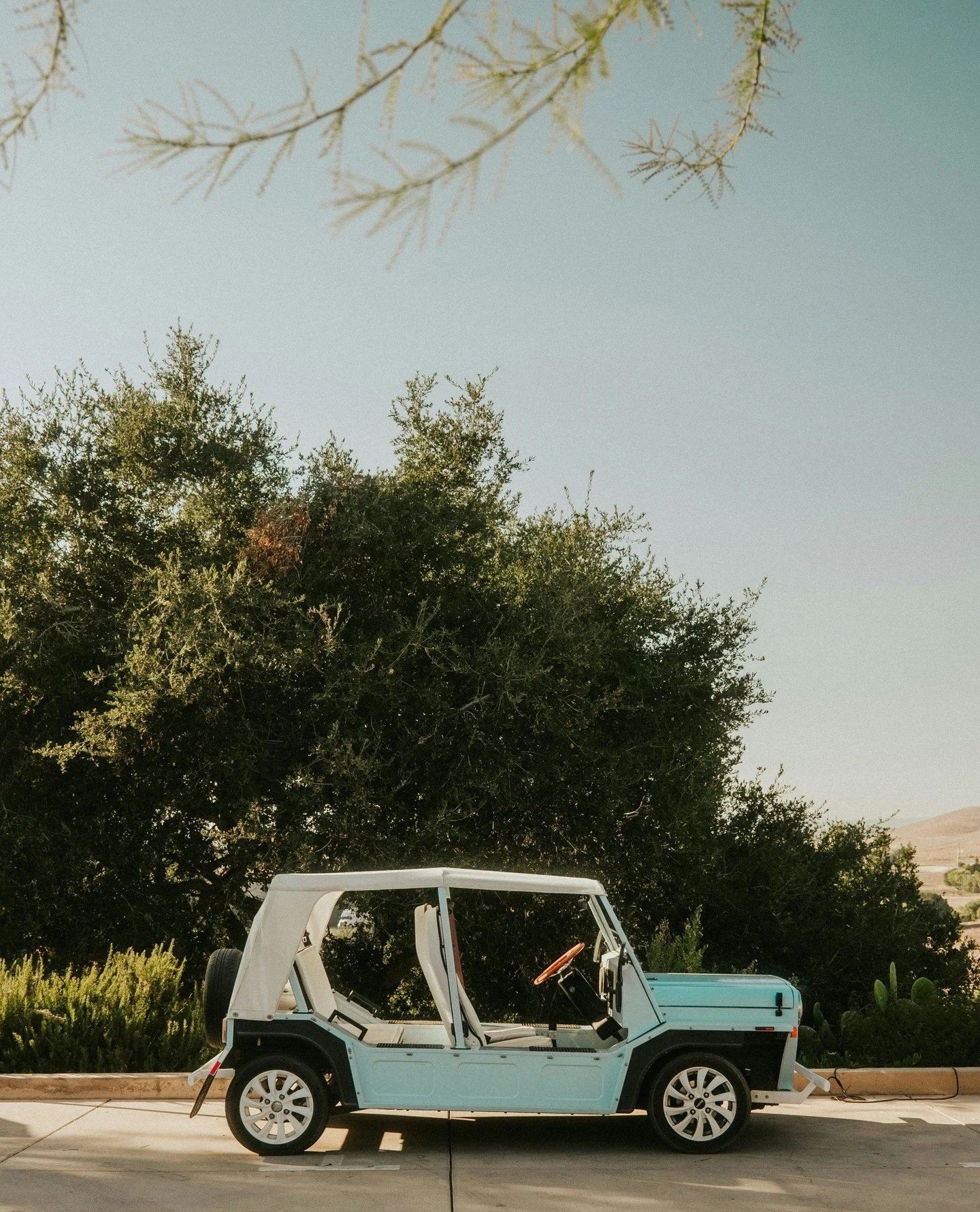 Your chariot awaits. ⁠
⁠
.⁠
.⁠
.⁠
⁠
Photo: Jed Villejo
