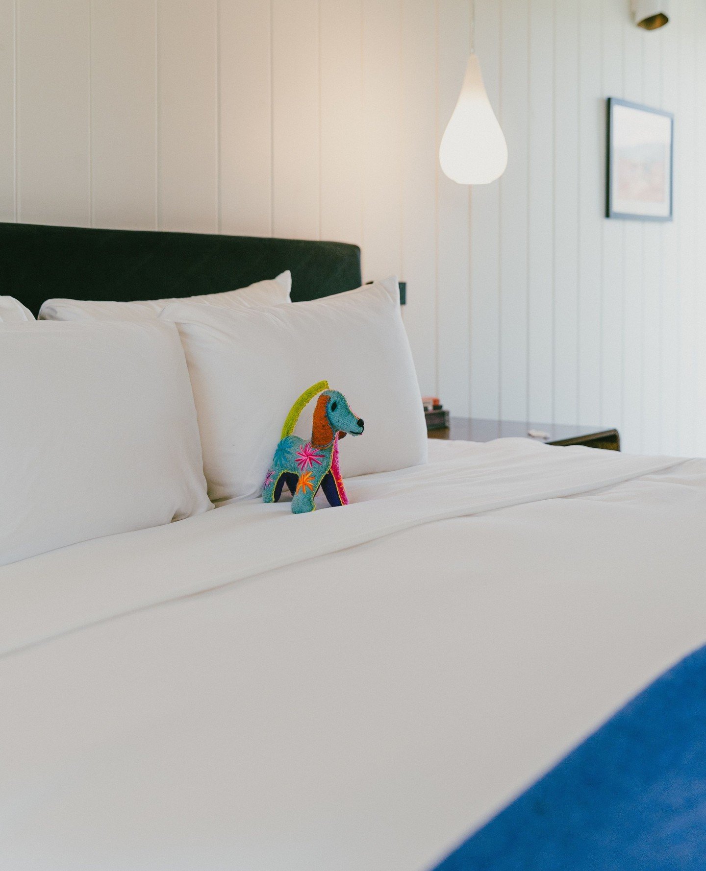 Adoption encouraged 🩵  Every room comes with a handmade, one-of-a-kind Animalito. If one steals your heart, you can make it yours at checkout.⁠
⁠
.⁠
.⁠
.⁠
⁠
Photo: @barefoot.max