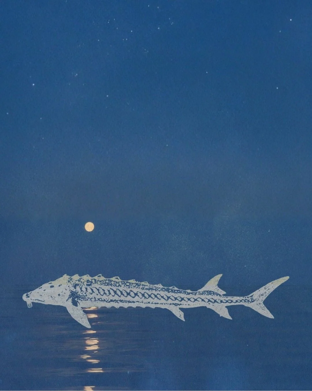 Tomorrow night, we swim under the Sturgeon Moon 🌕⁠
⁠
Named for an ancient fish that spends much of its life in deep waters before rising toward the surface in late summer, August&rsquo;s full moon invites us all to come up for air and find our way f